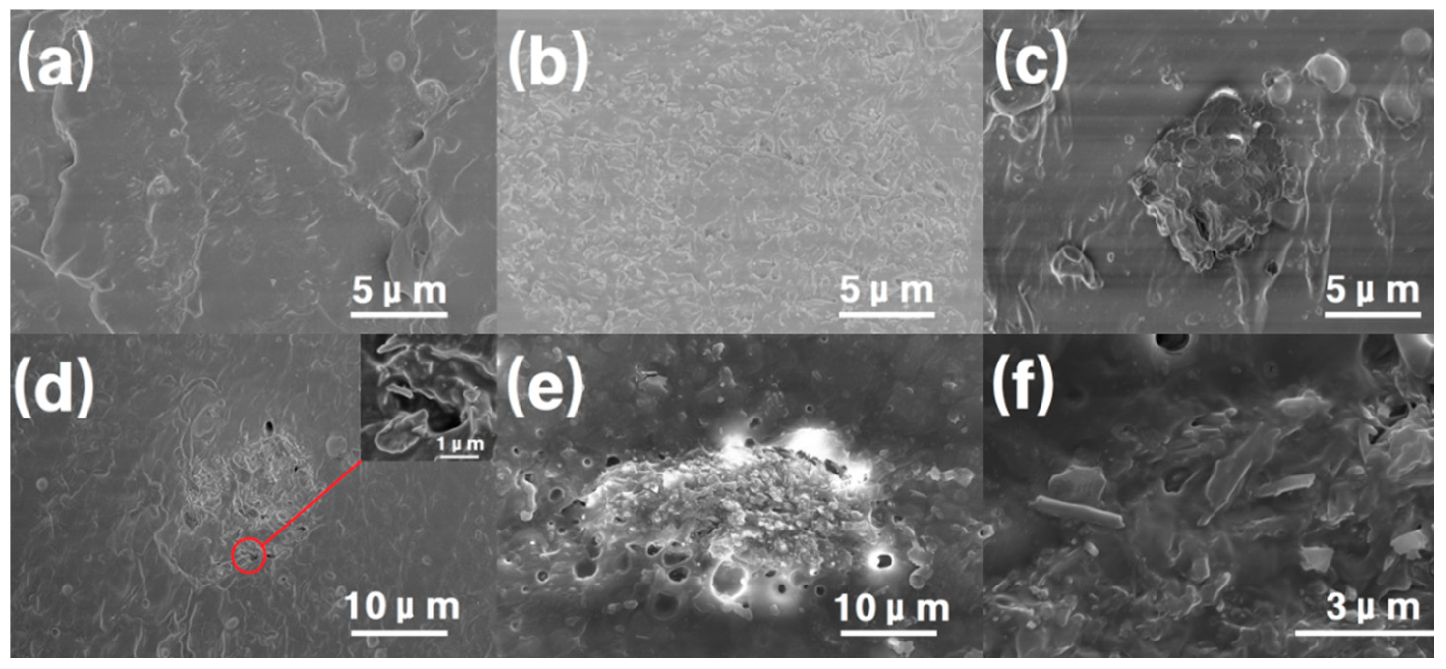 Polymers 16 03025 g007