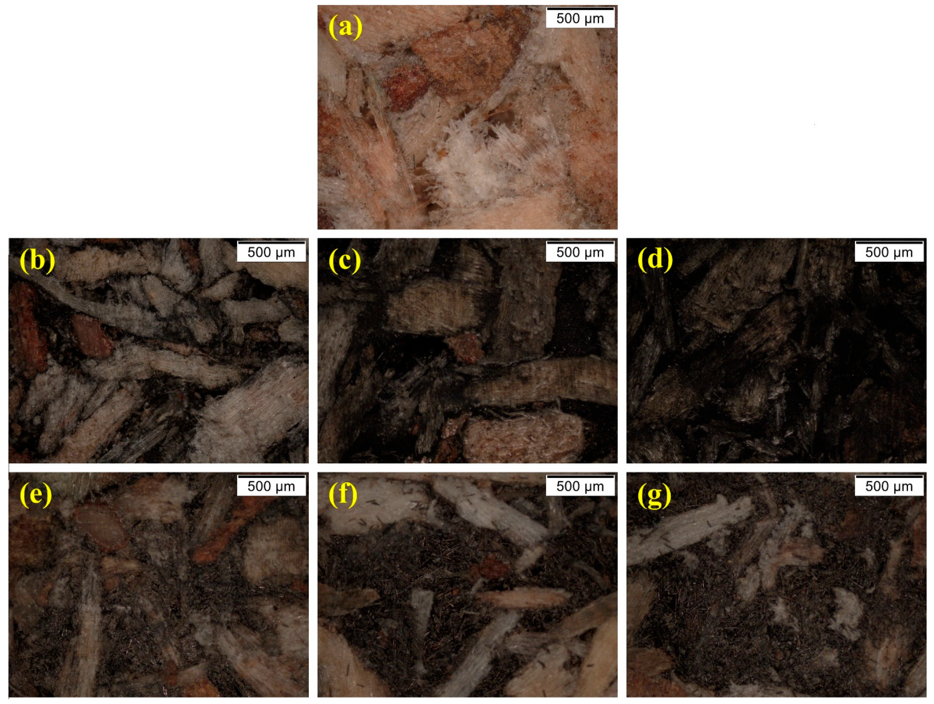 Polymers 16 03026 g005