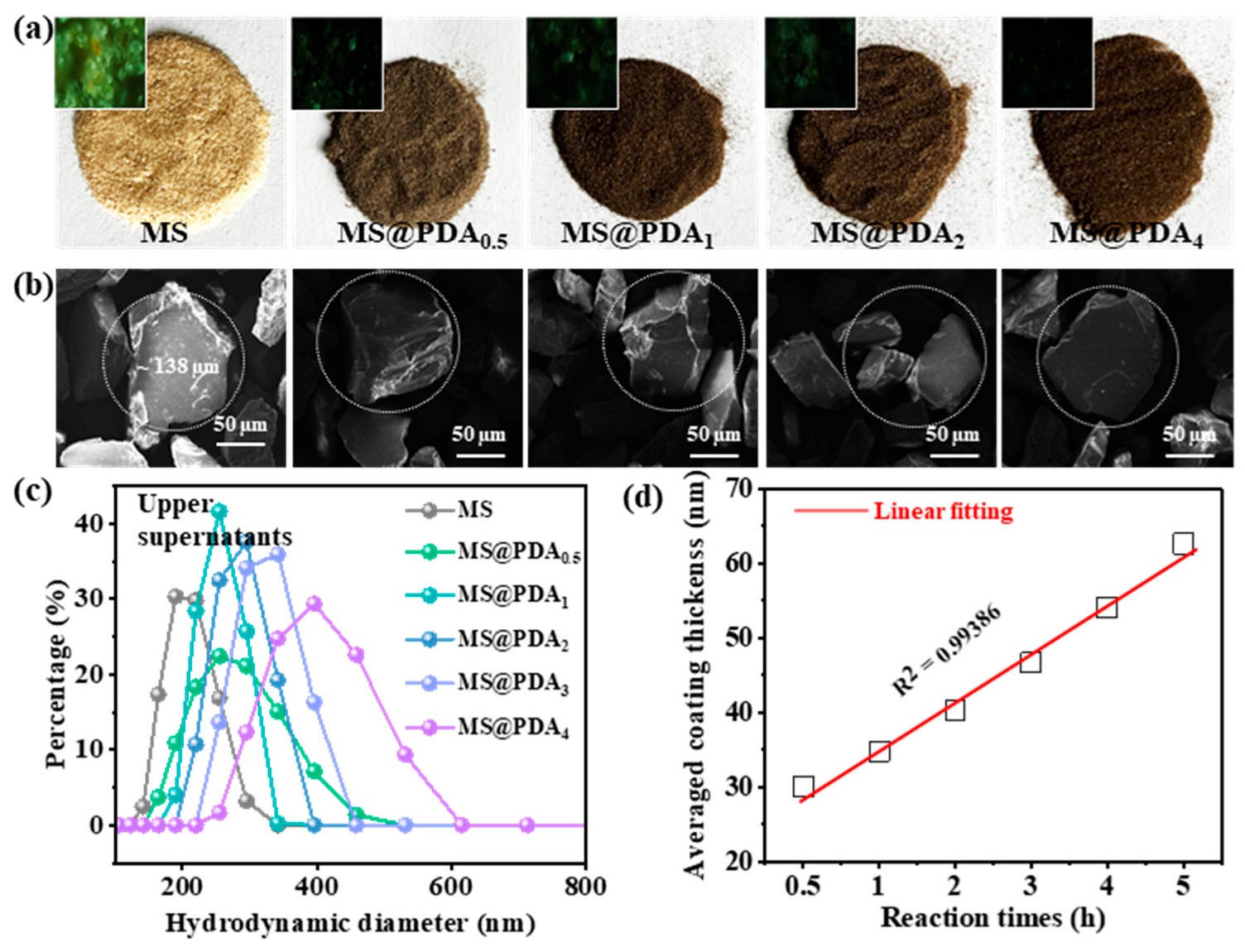 Polymers 16 03027 g002