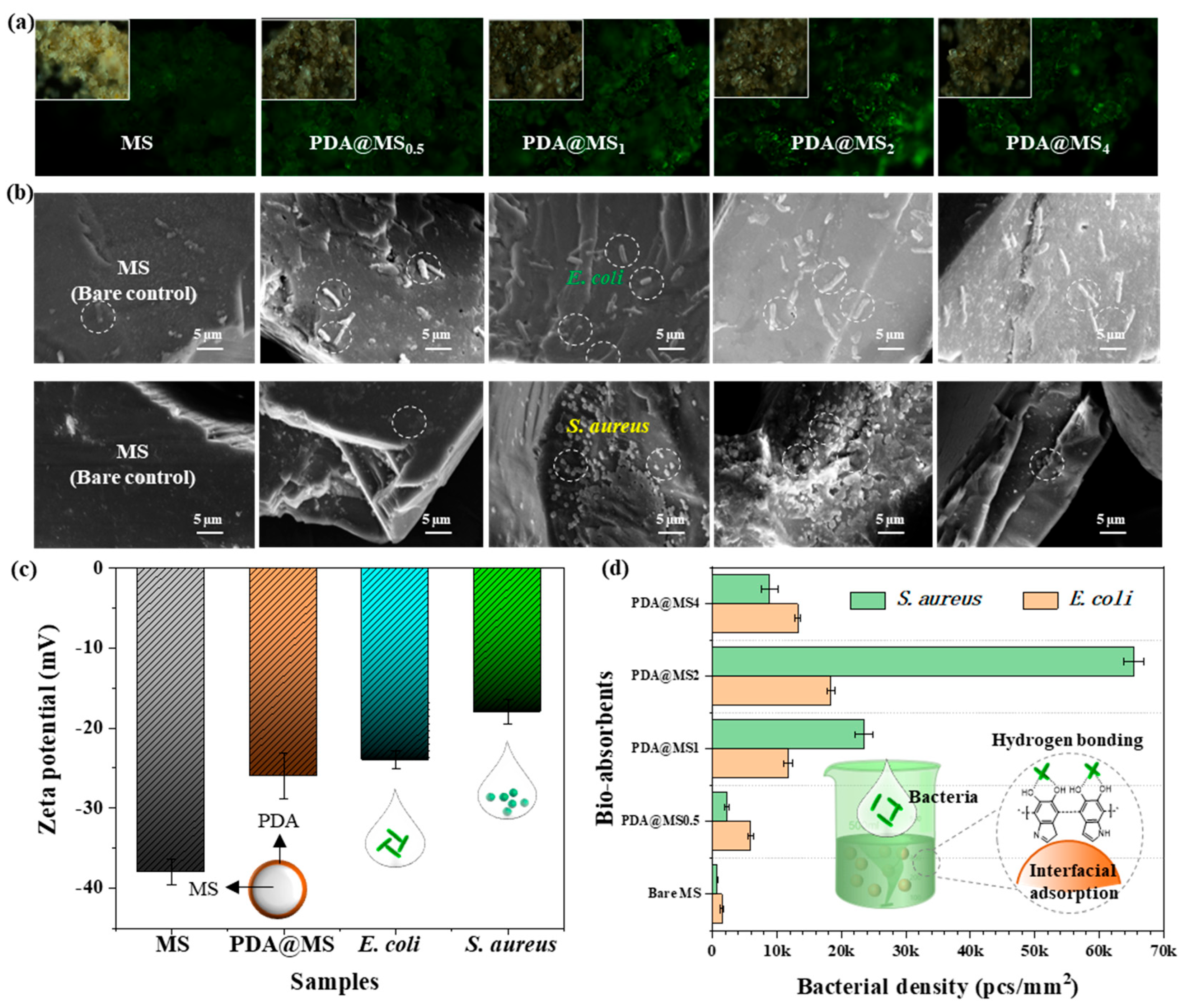 Polymers 16 03027 g004