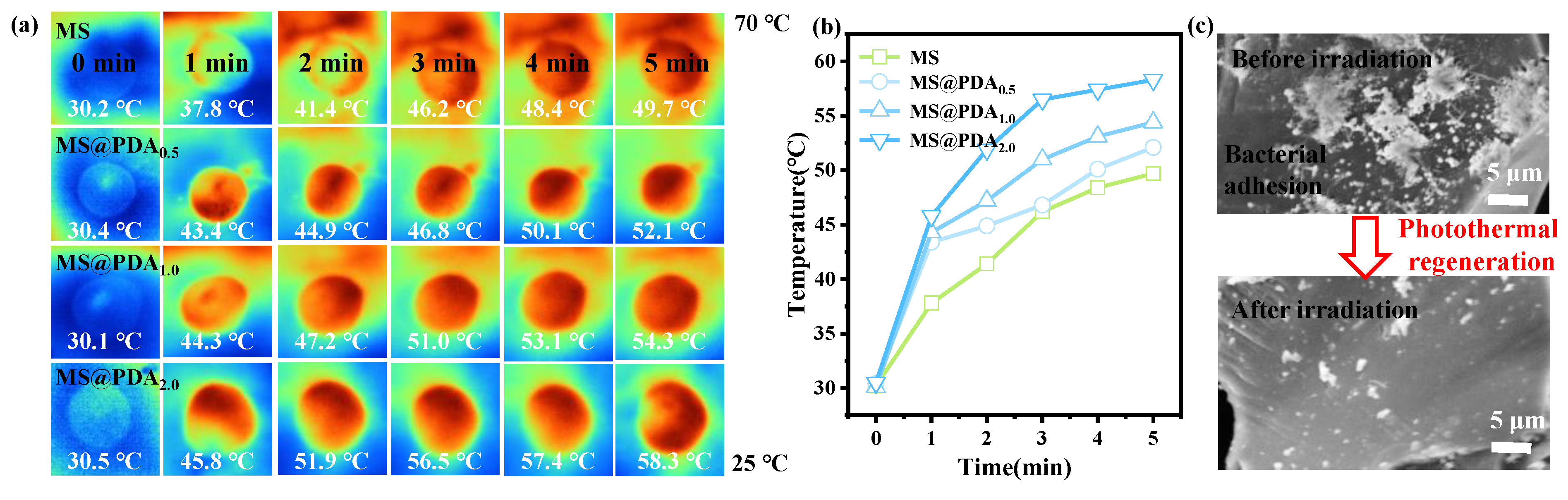 Polymers 16 03027 g005