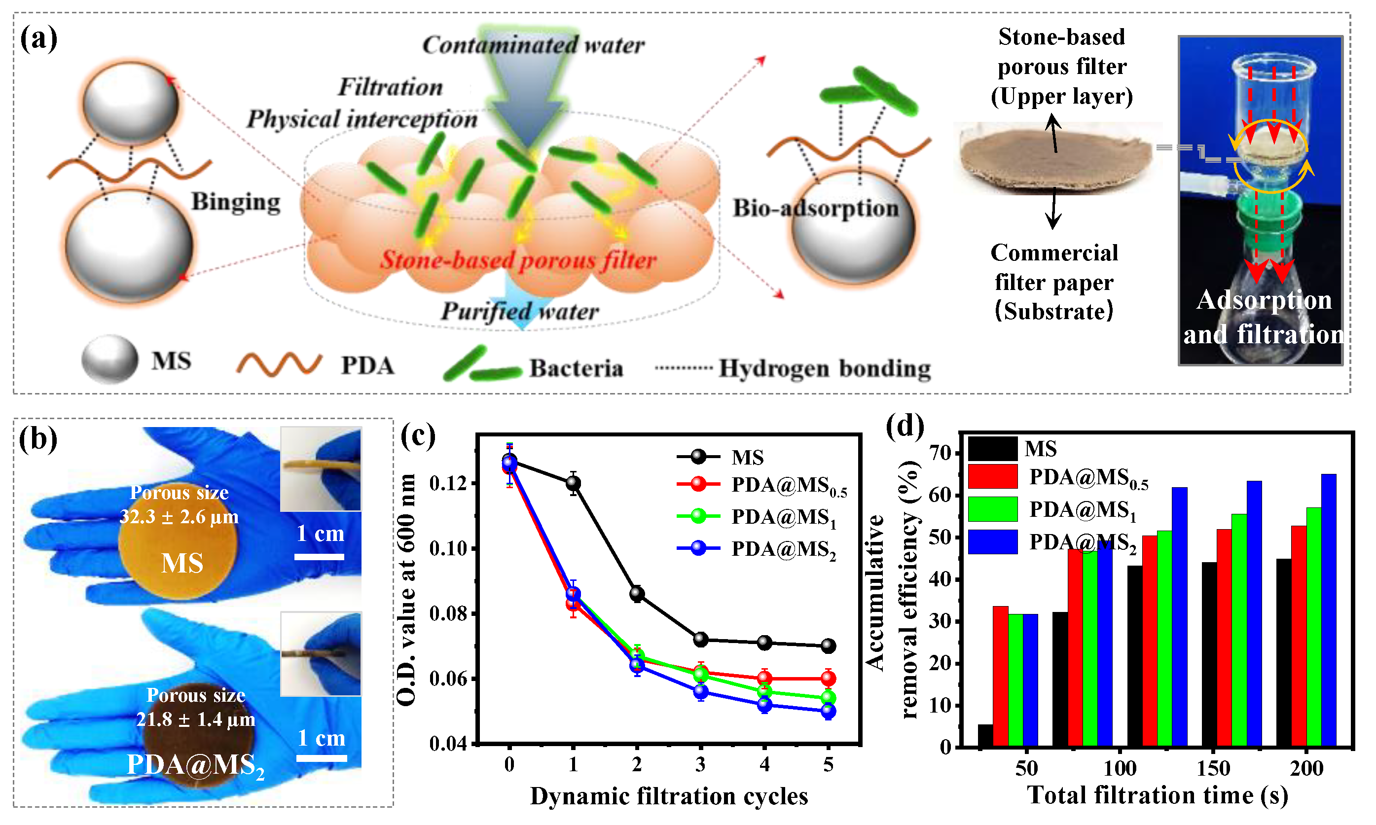 Polymers 16 03027 g007