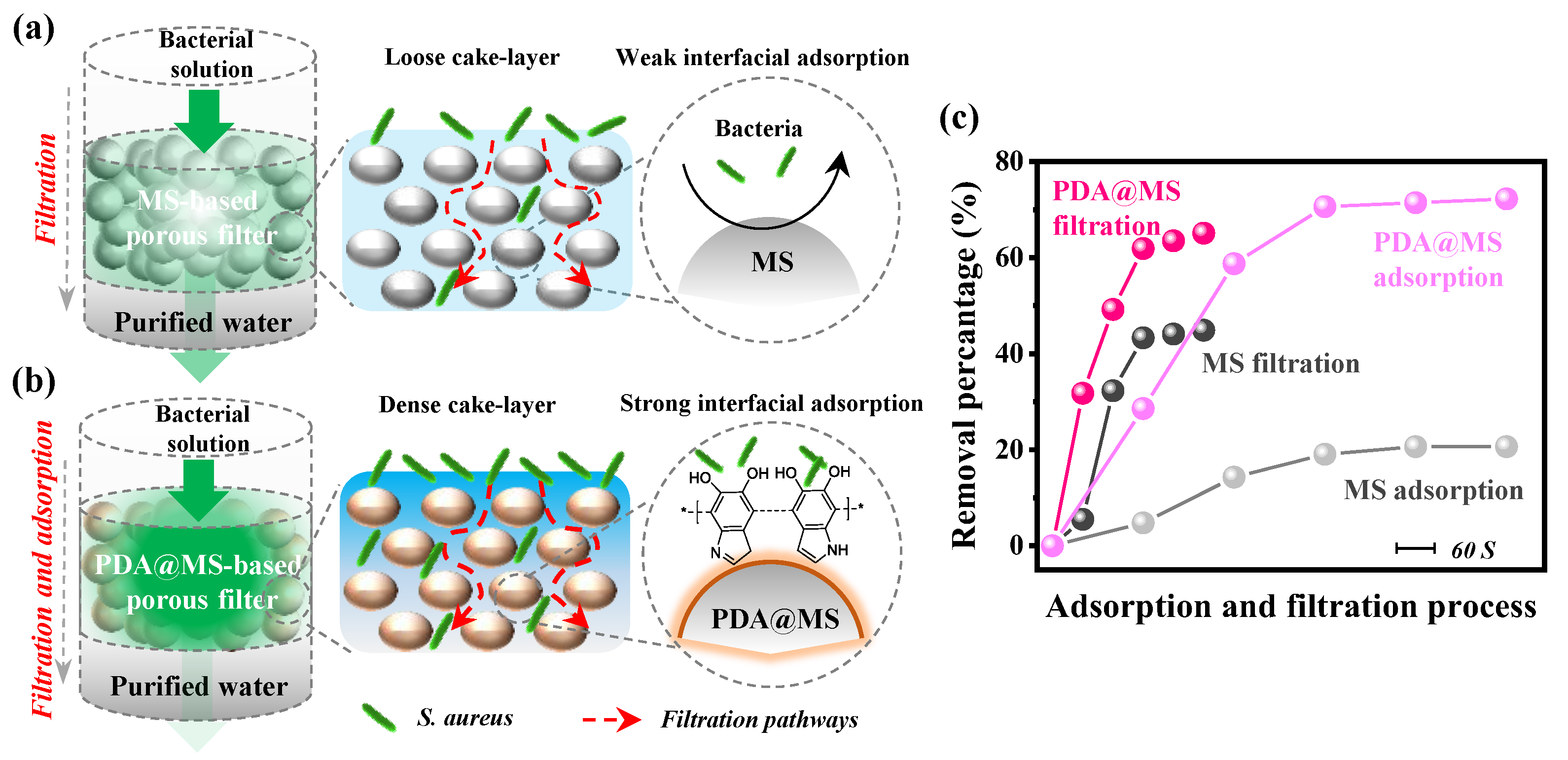 Polymers 16 03027 g008