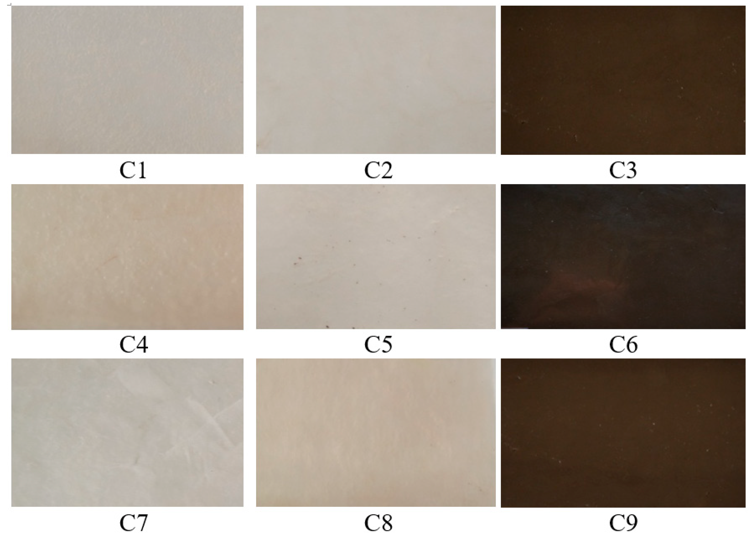 Polymers 16 03028 g001