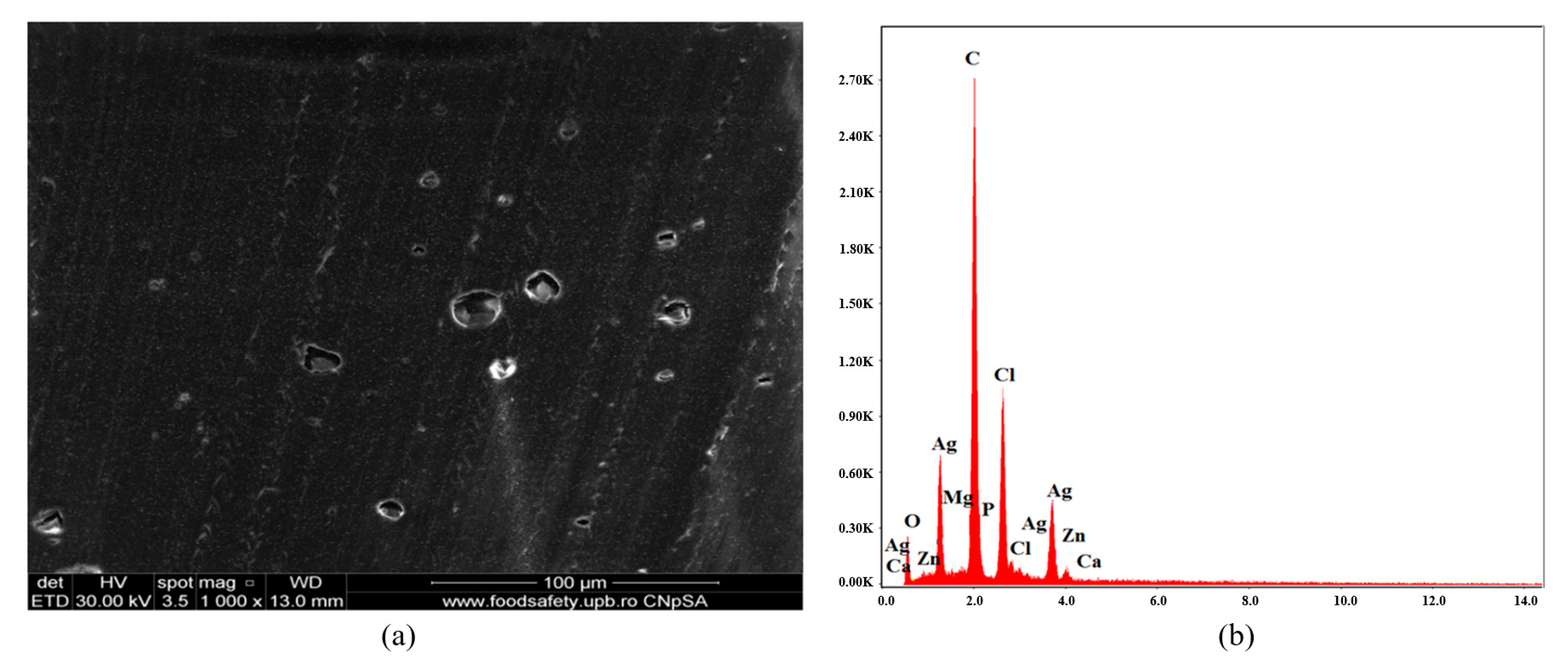 Polymers 16 03028 g013