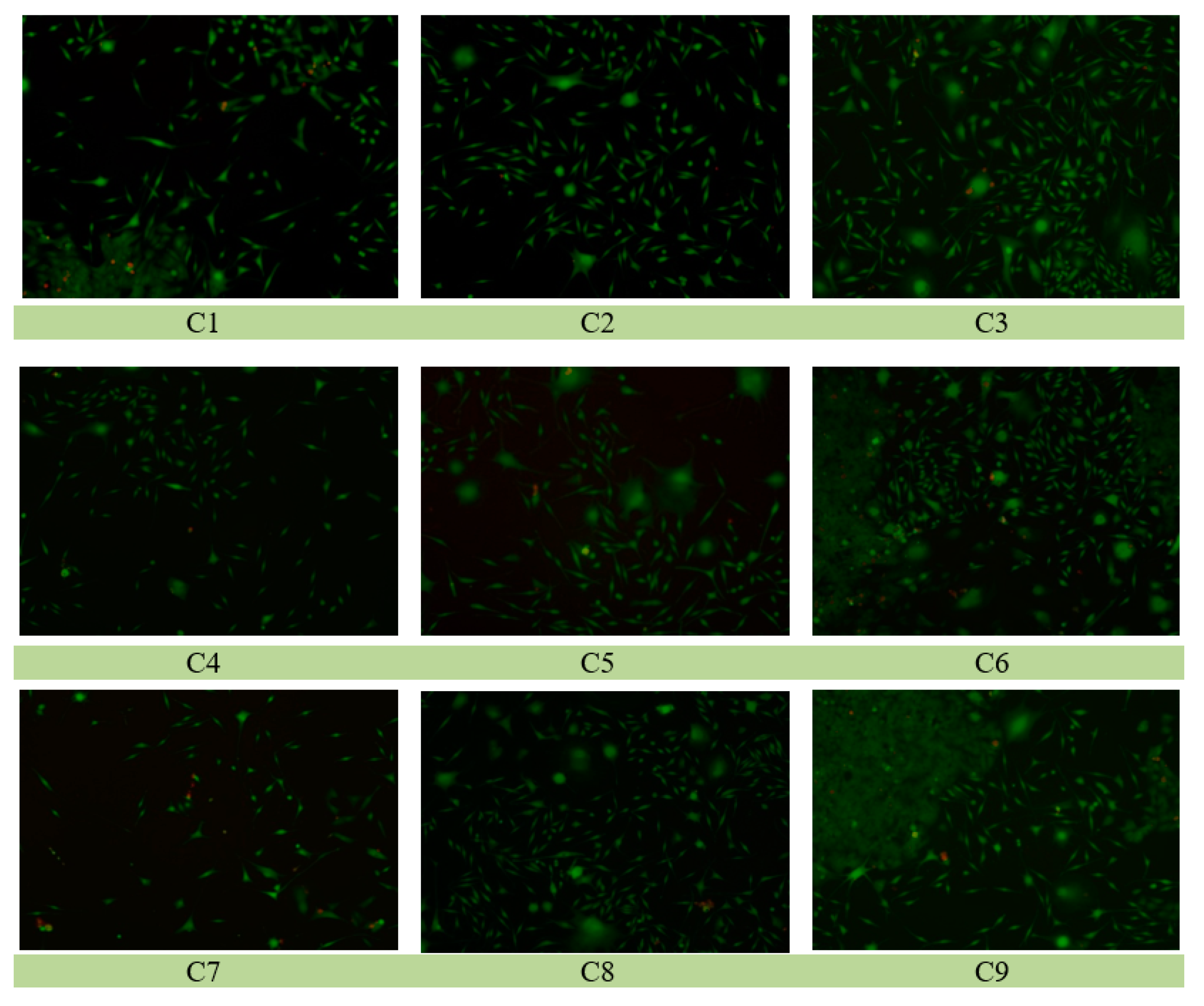 Polymers 16 03028 g020