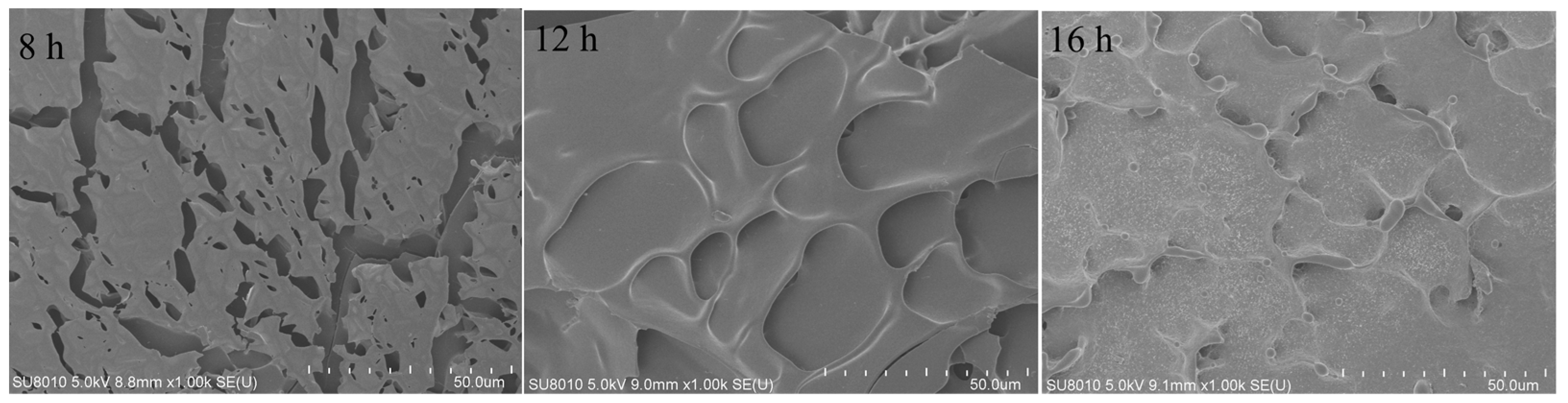 Polymers 16 03032 g011