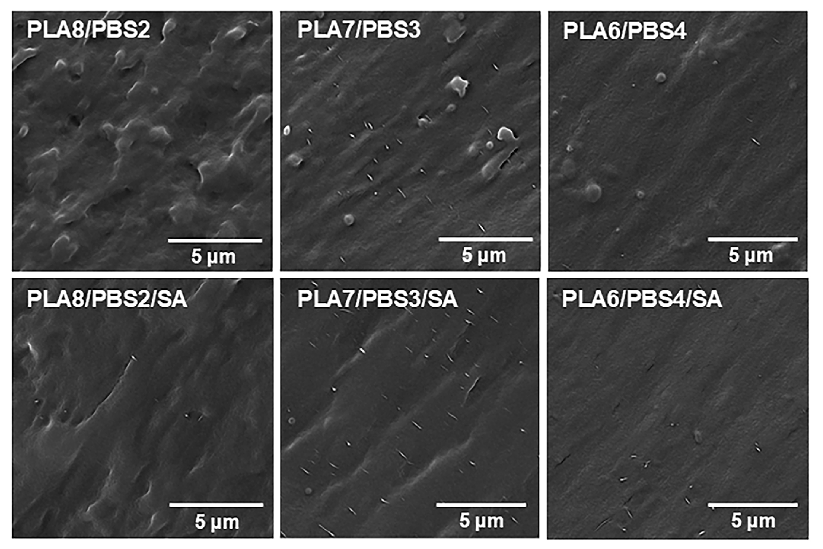 Polymers 16 03033 g001