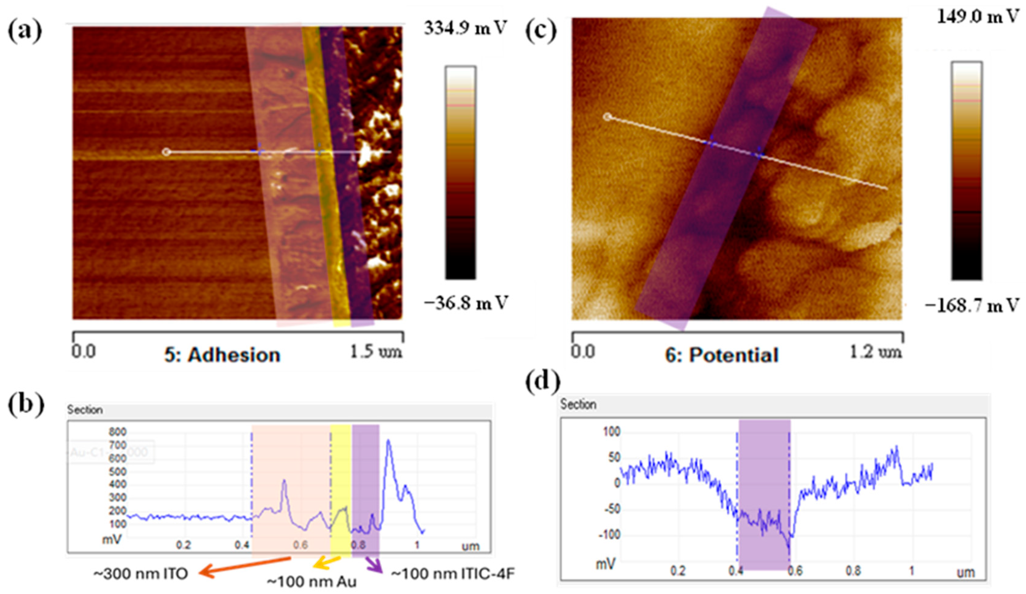 Polymers 16 03040 g007