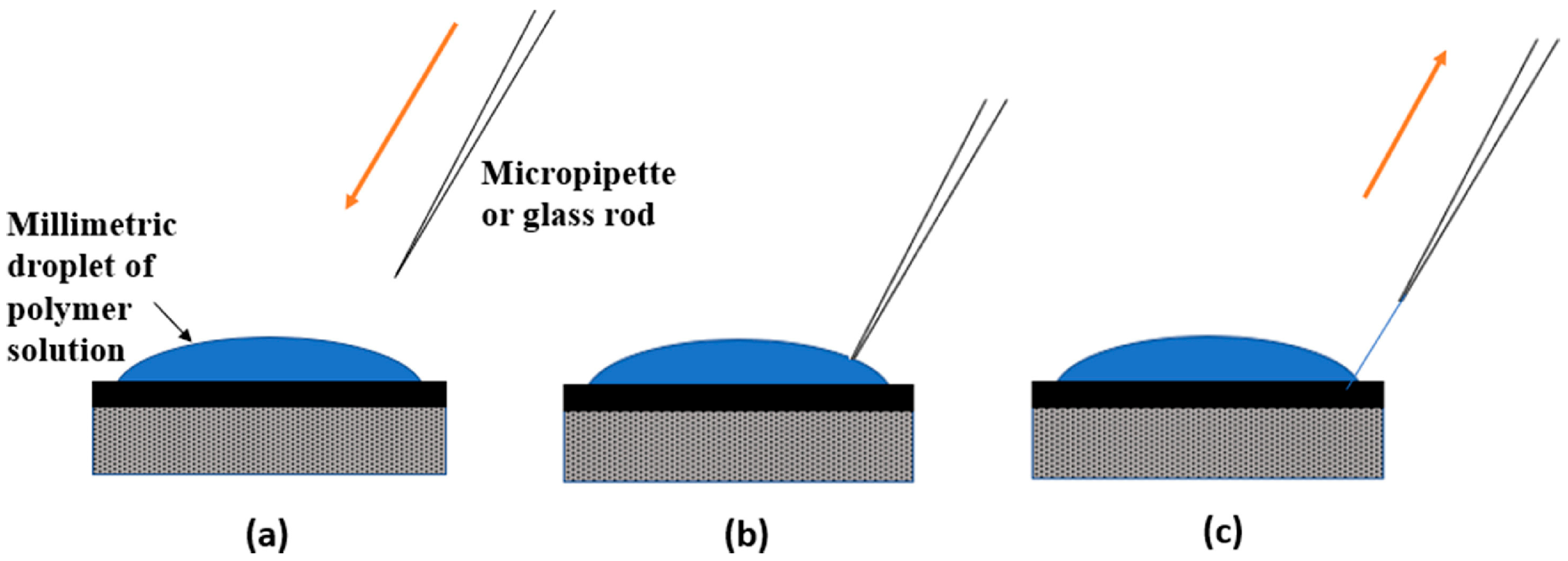 Polymers 16 03044 g009