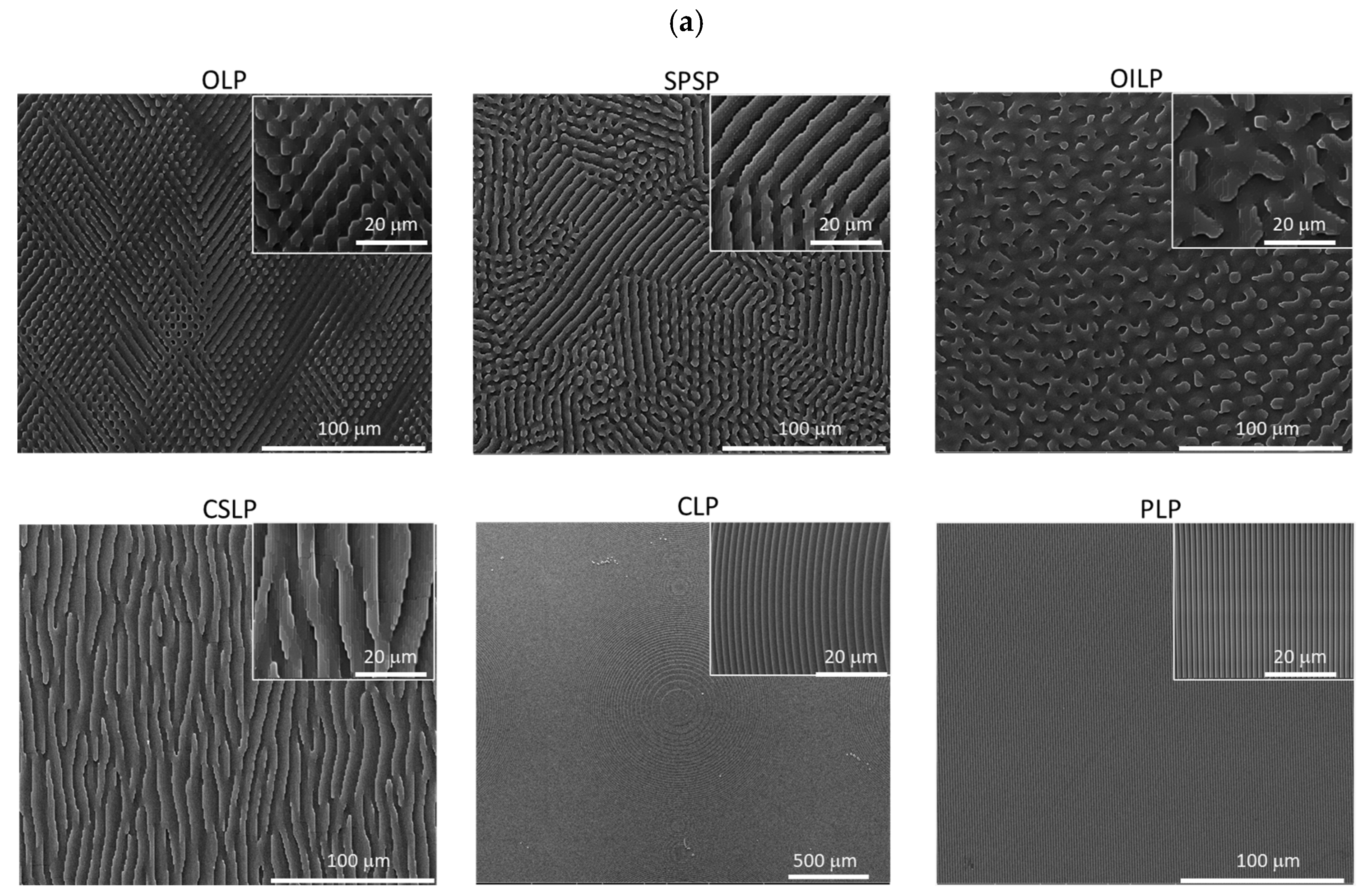 Polymers 16 03046 g001a