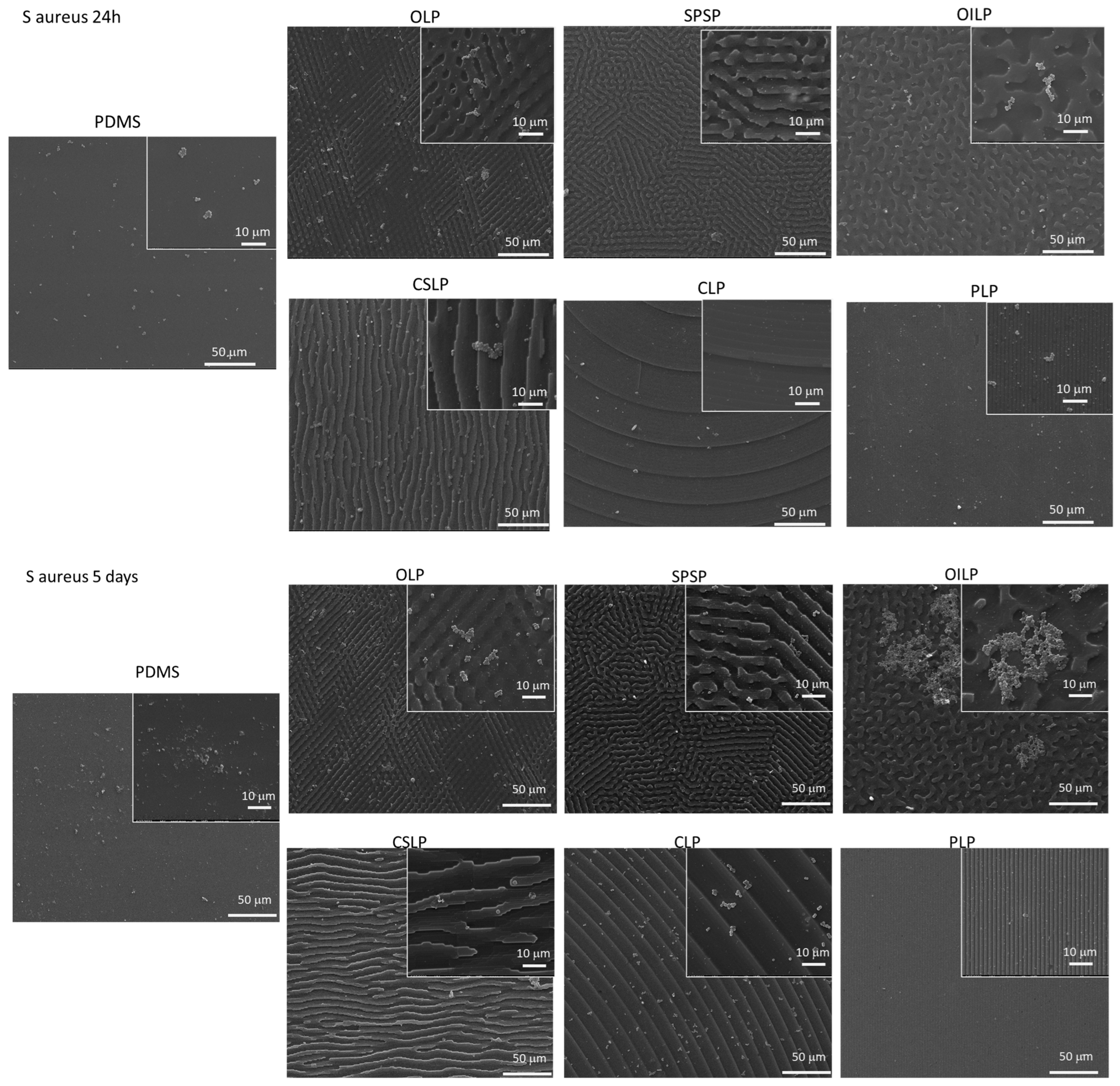 Polymers 16 03046 g003a