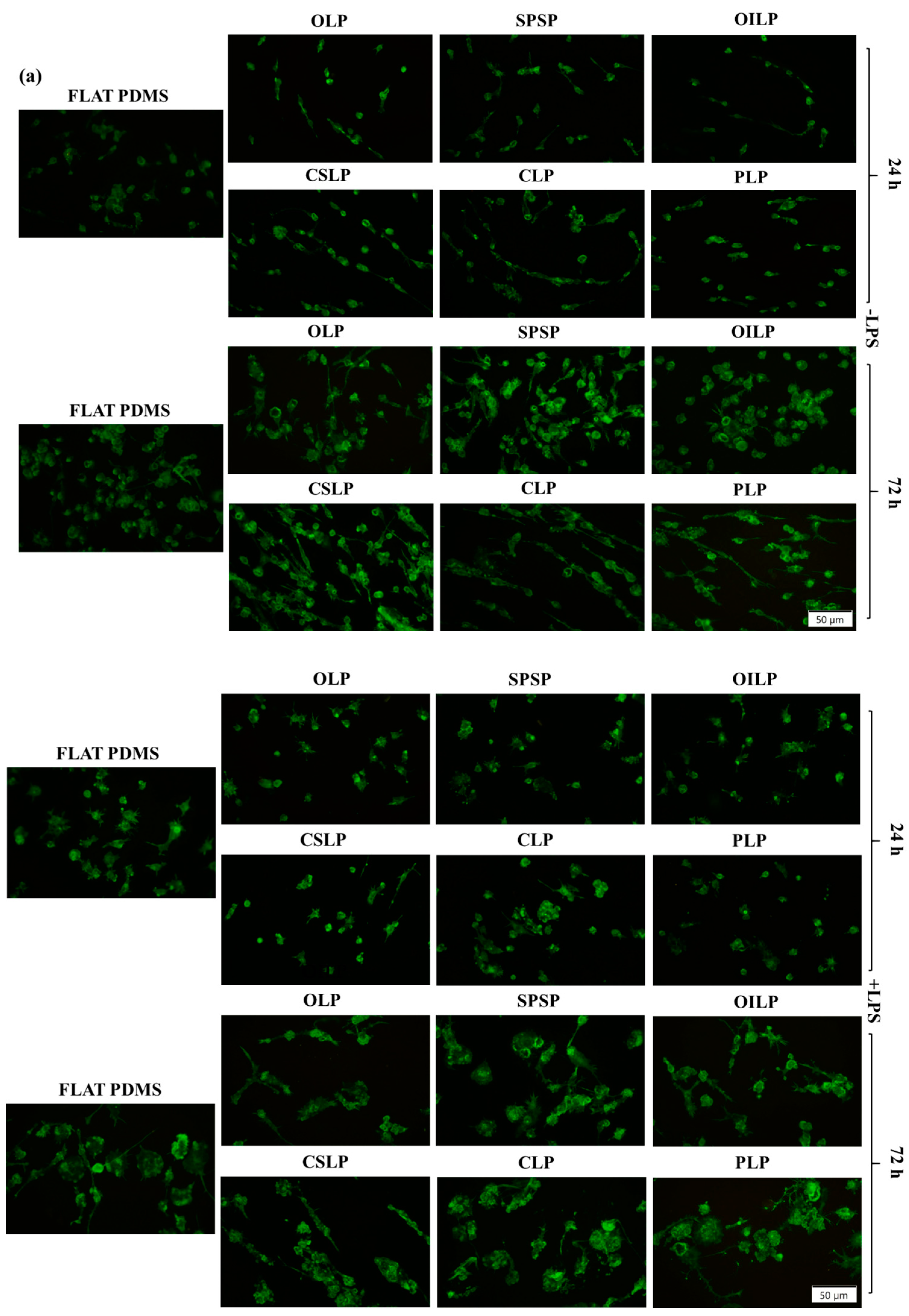 Polymers 16 03046 g005a