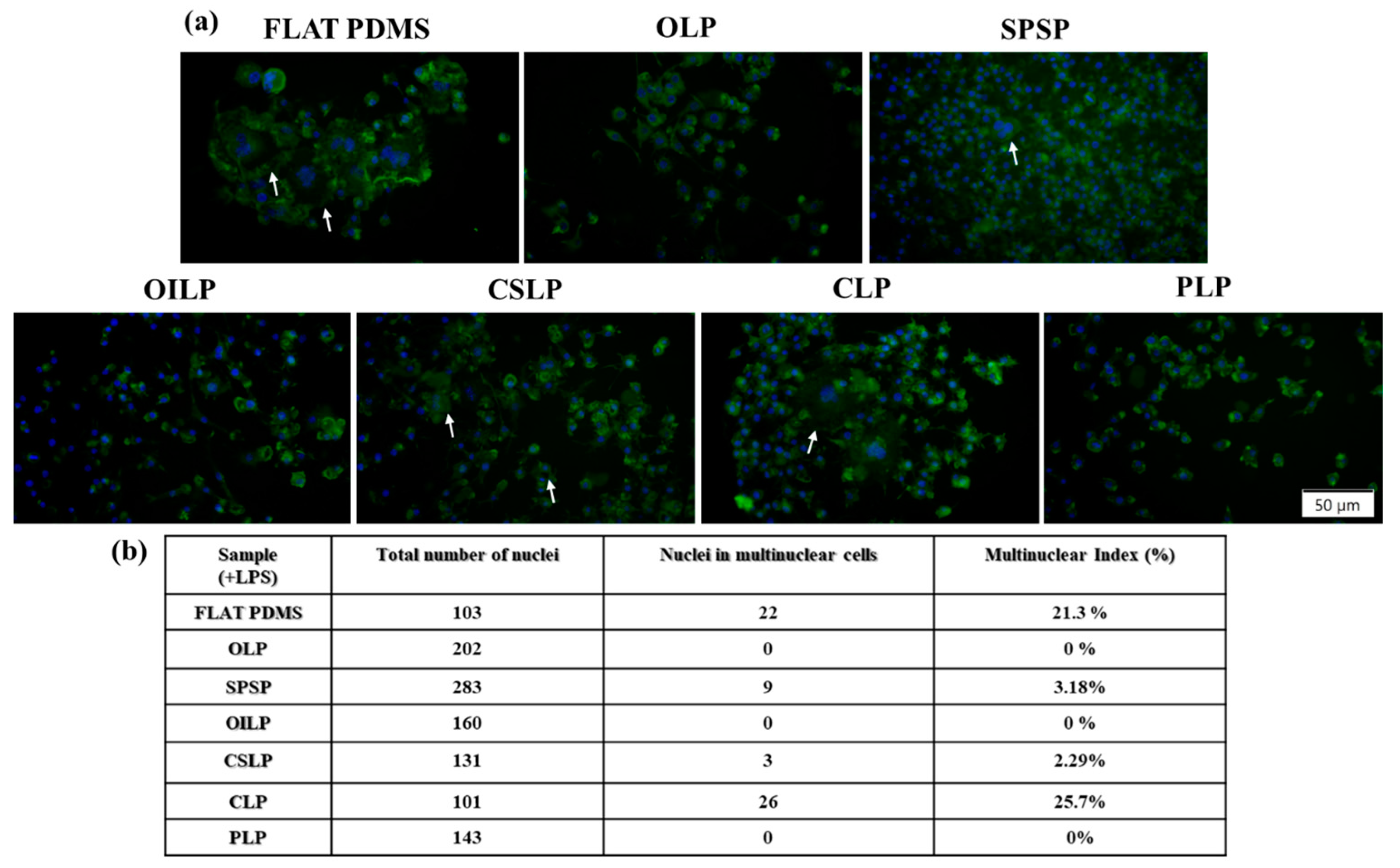 Polymers 16 03046 g007