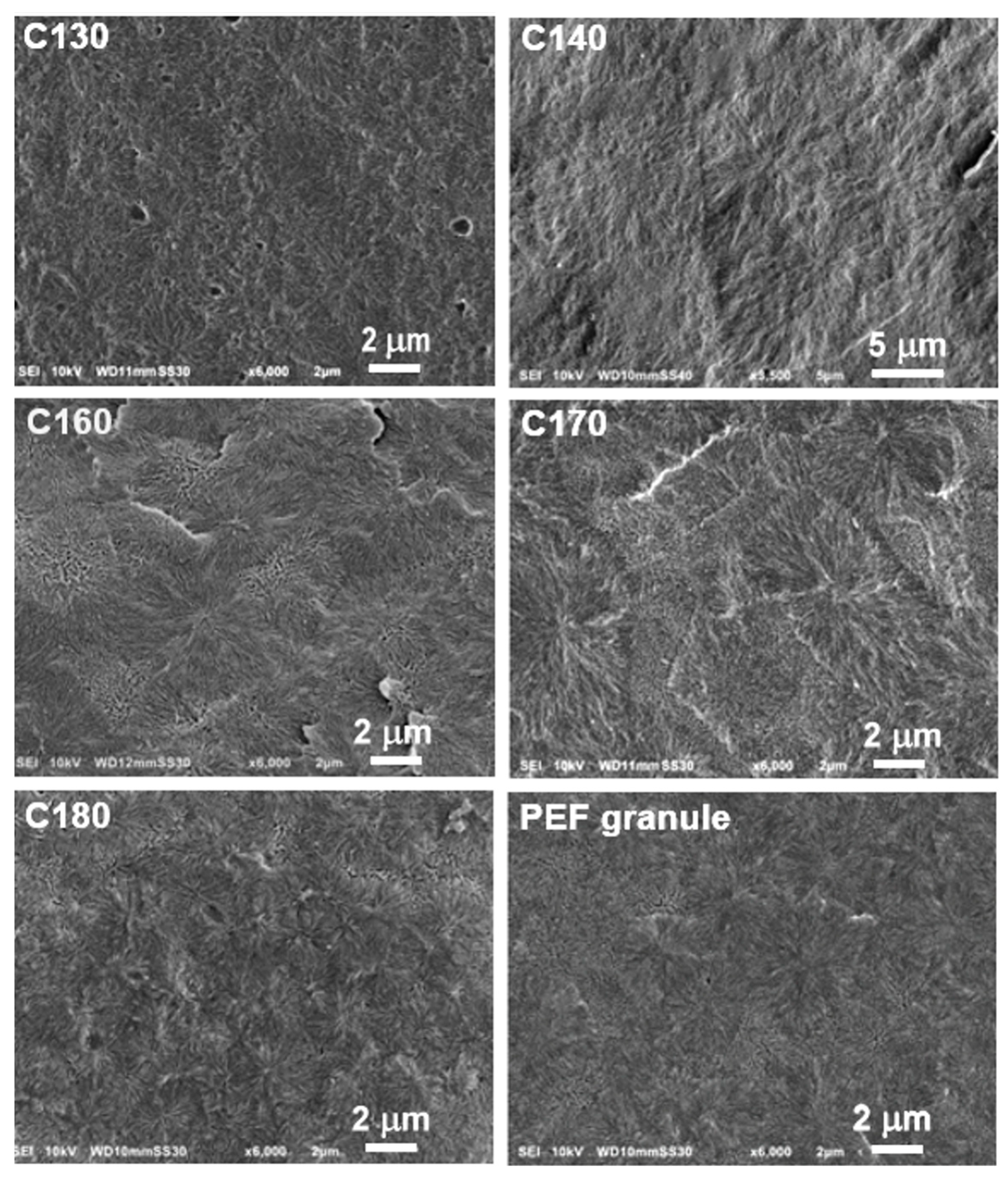 Polymers 16 03052 g008