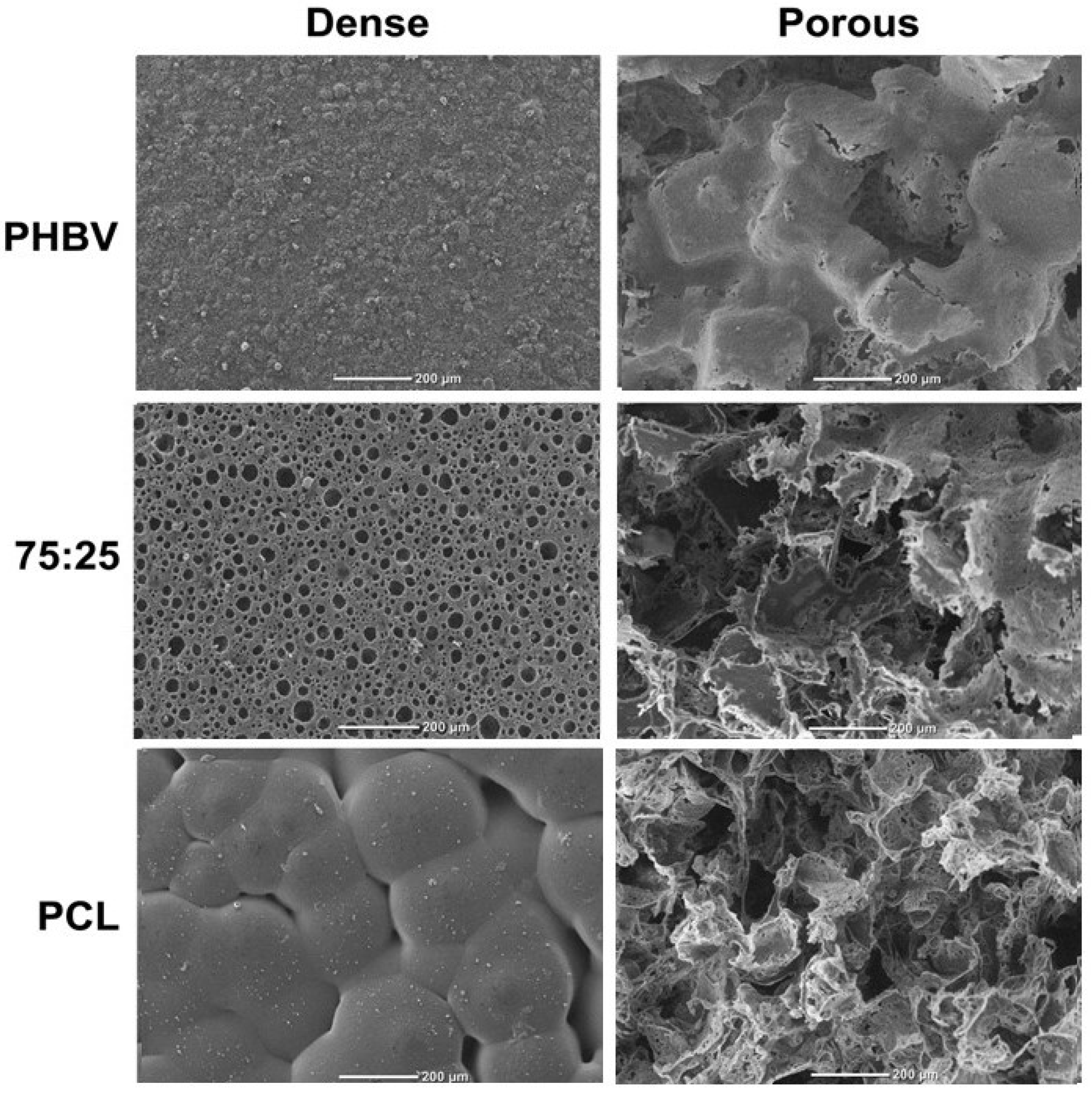 Polymers 16 03054 g002