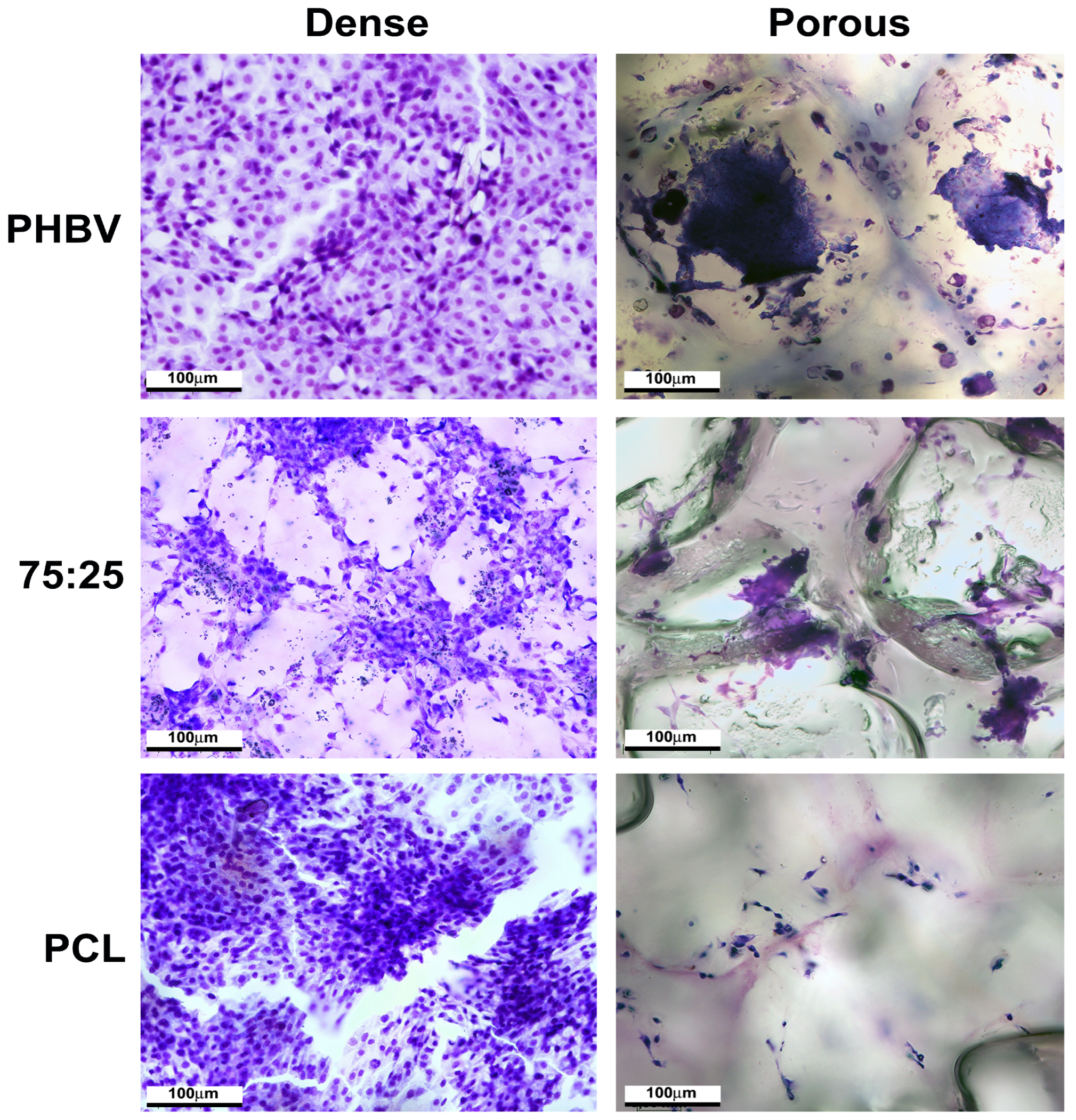 Polymers 16 03054 g005