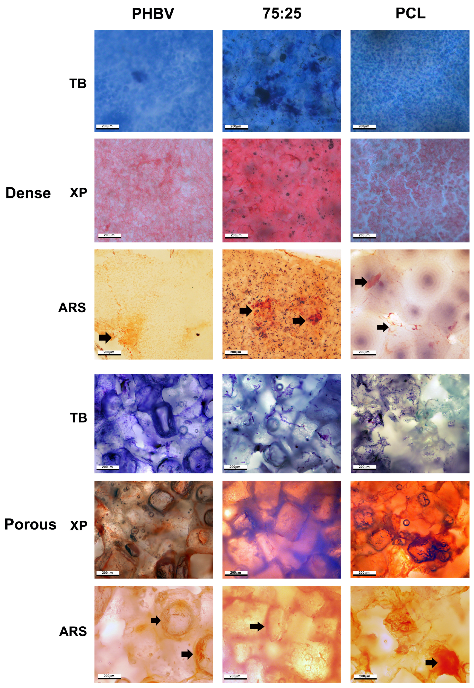 Polymers 16 03054 g007
