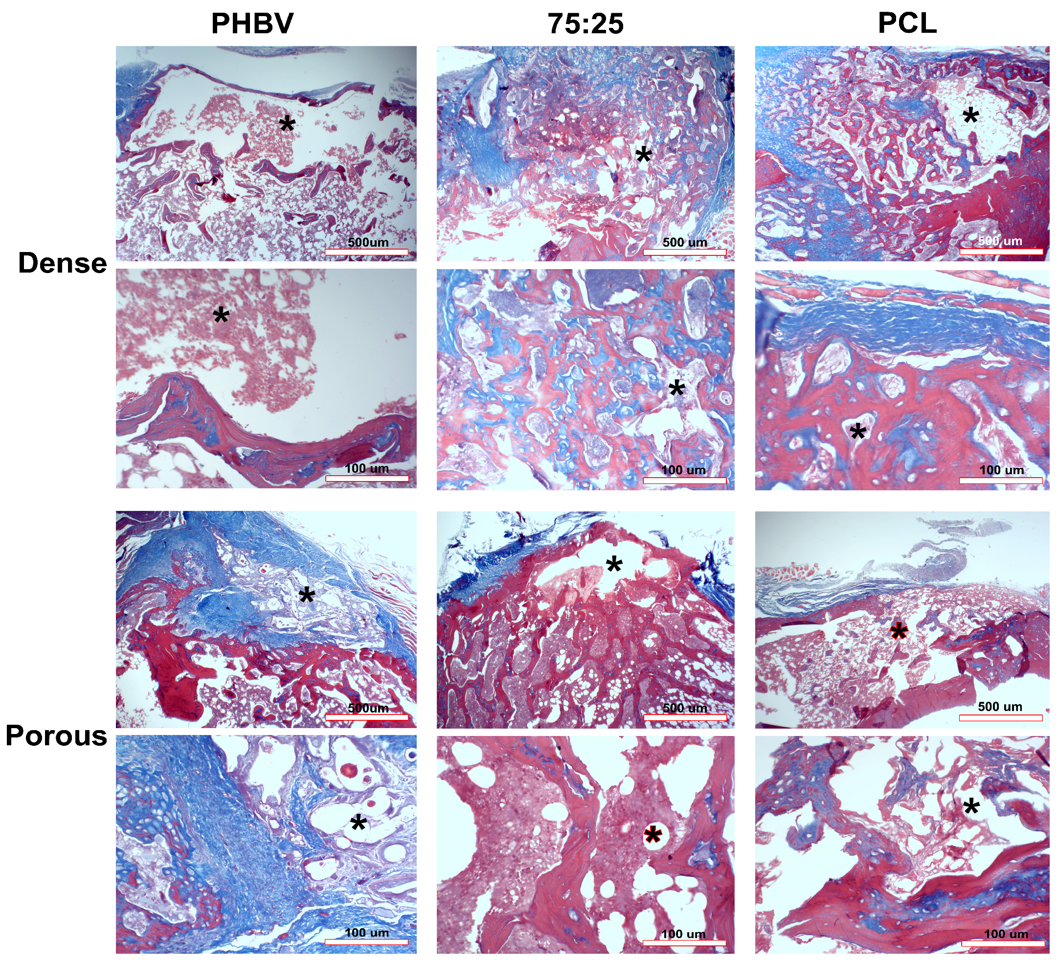 Polymers 16 03054 g009