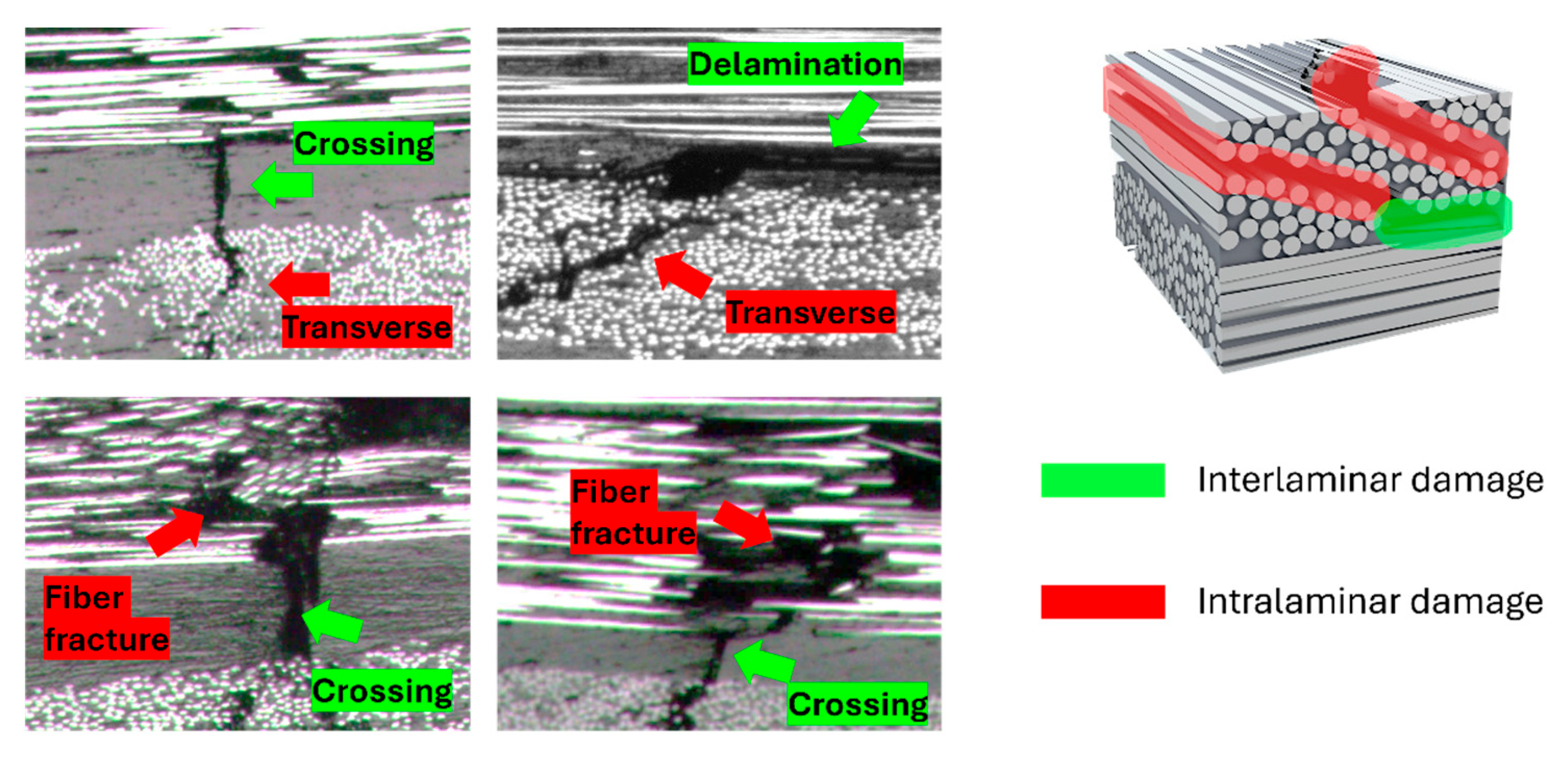Polymers 16 03060 g010
