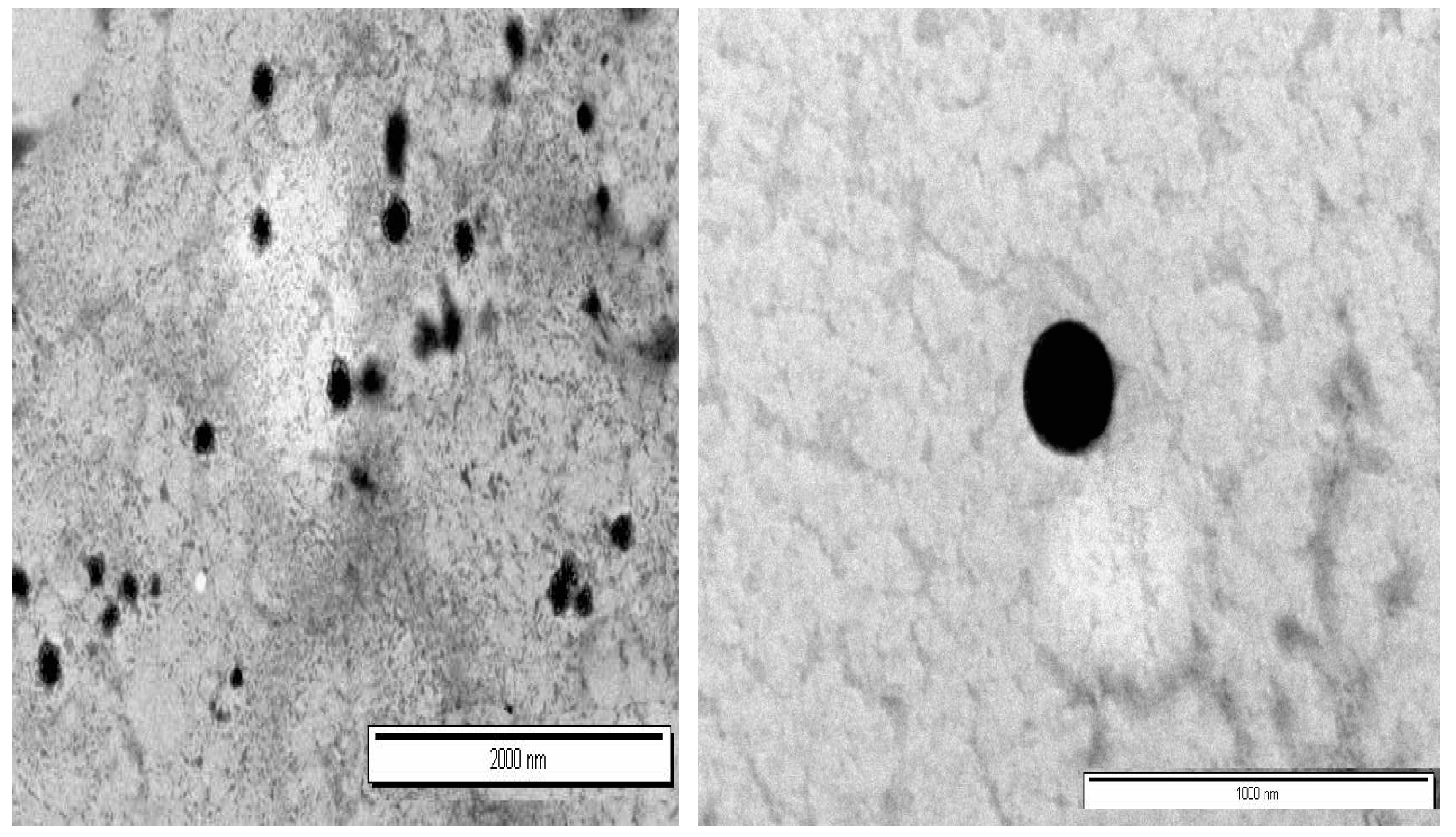 Polymers 16 03062 g001