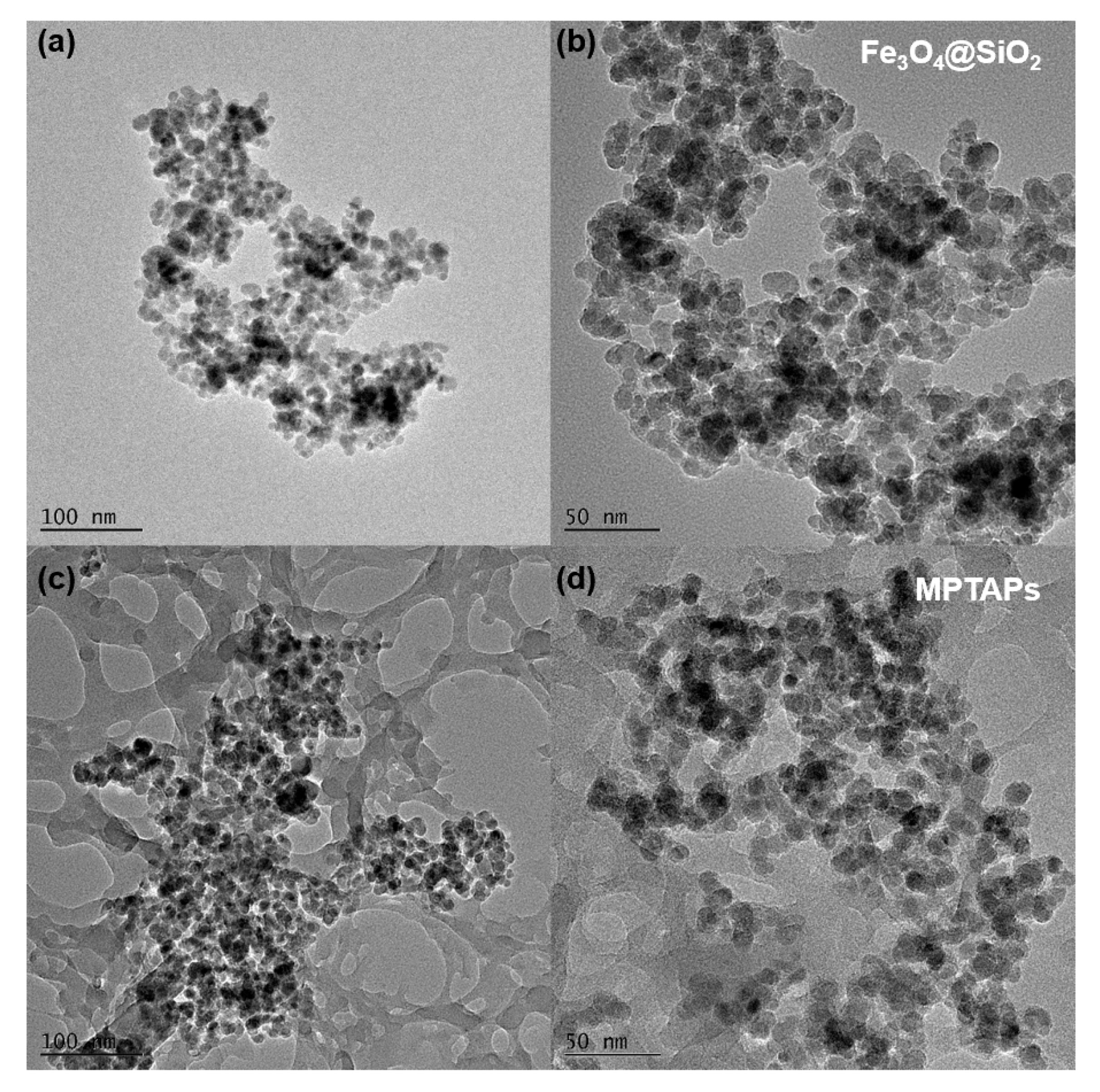 Polymers 16 03067 g003