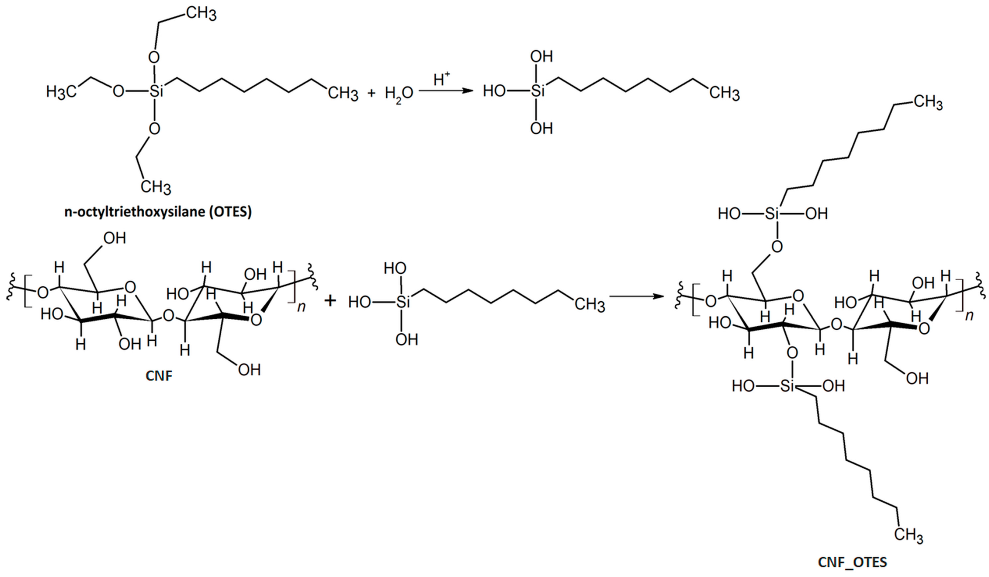 Polymers 16 03069 g001