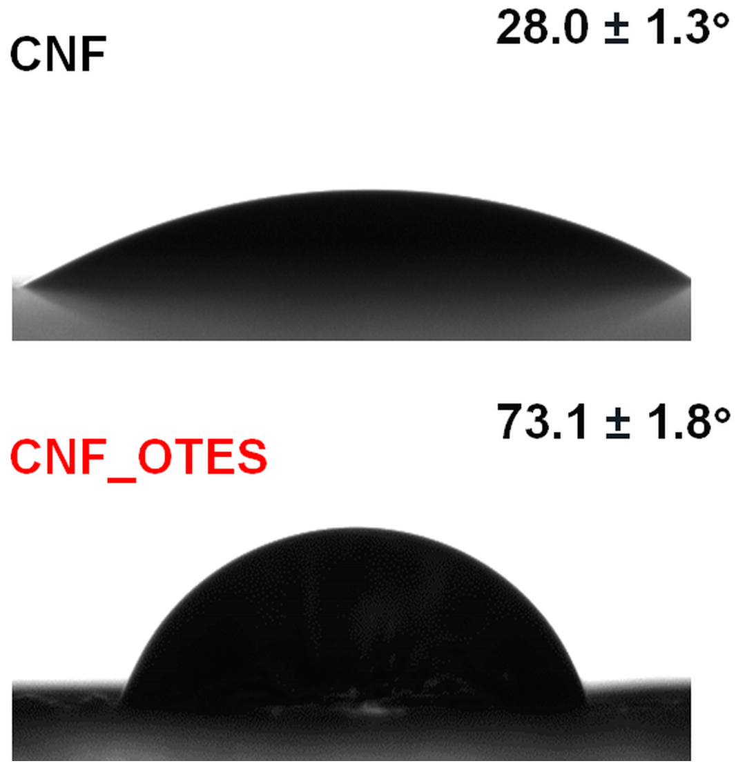 Polymers 16 03069 g004