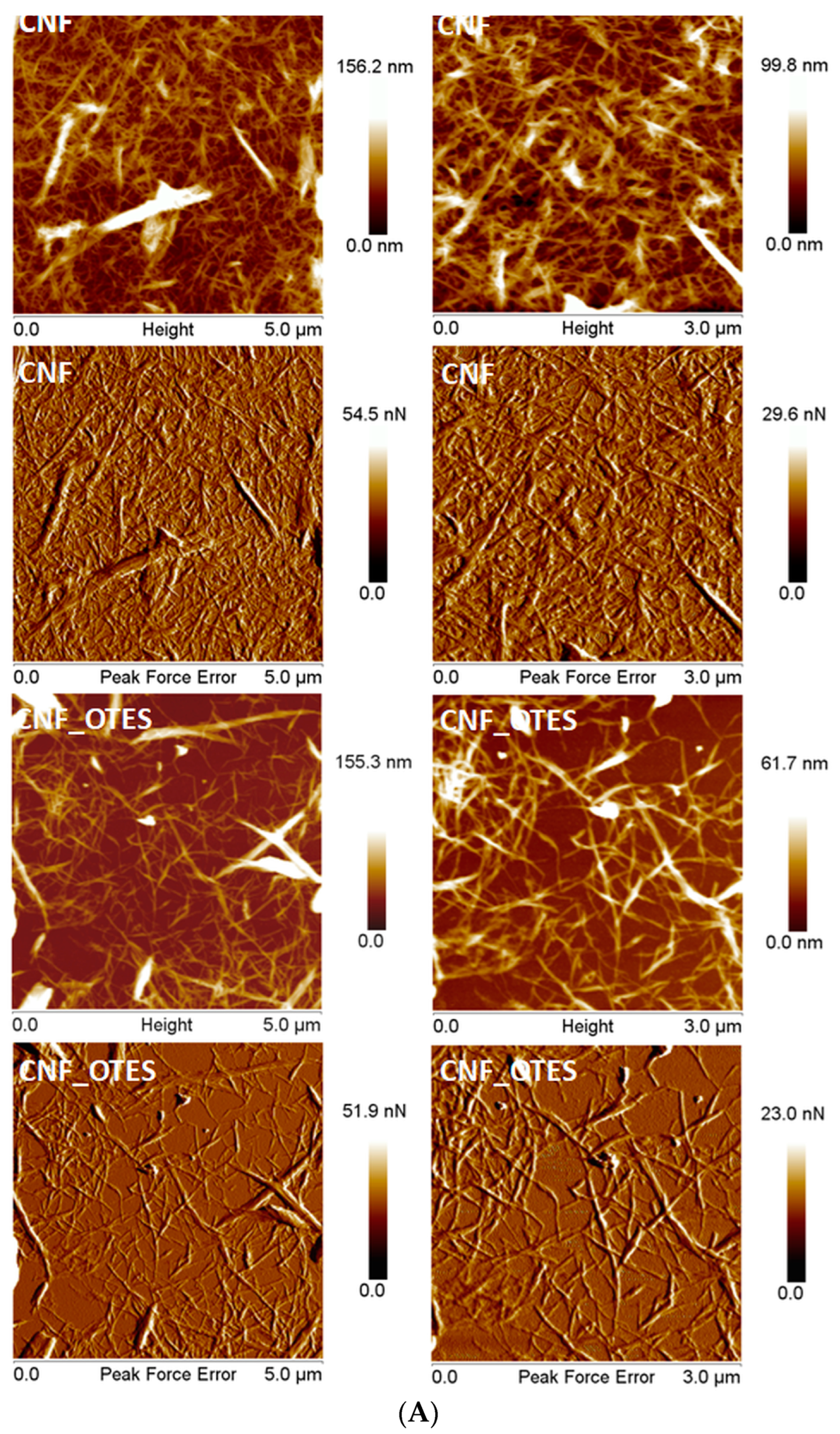 Polymers 16 03069 g006a