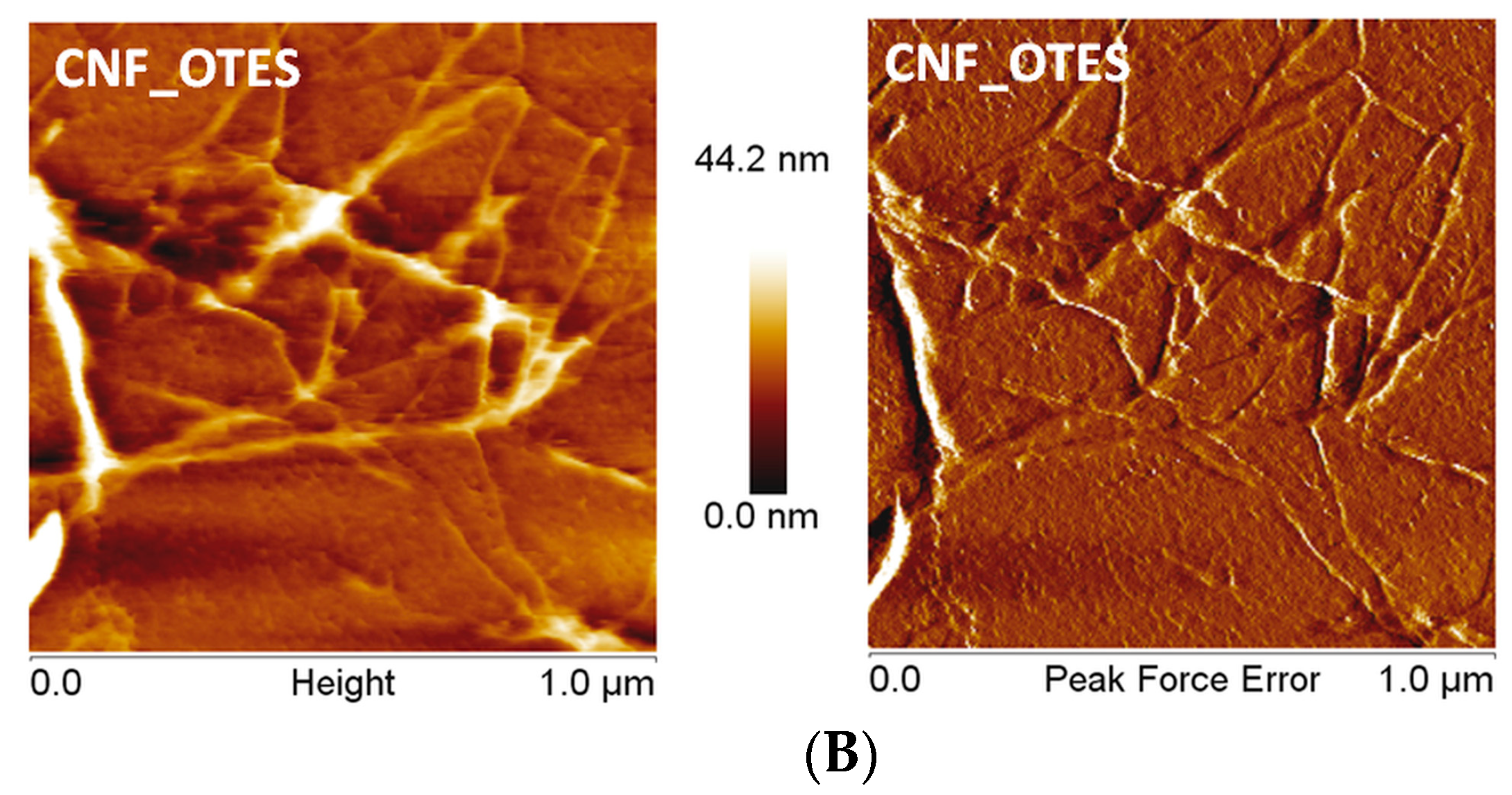 Polymers 16 03069 g006b