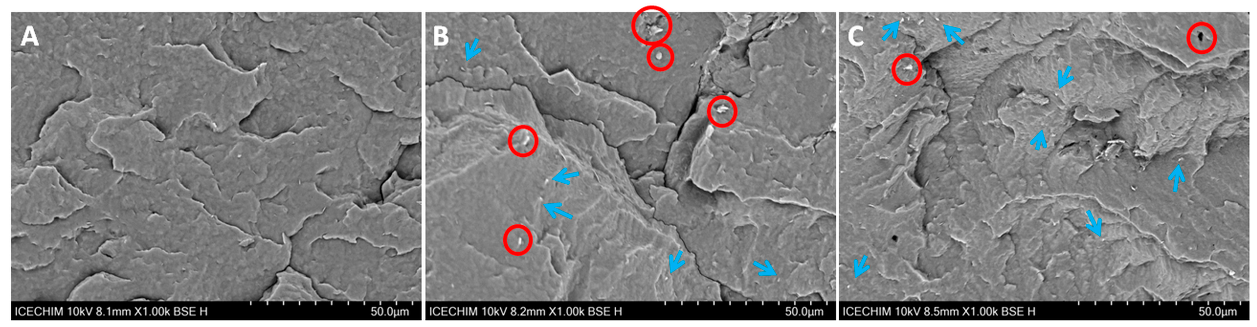 Polymers 16 03069 g010