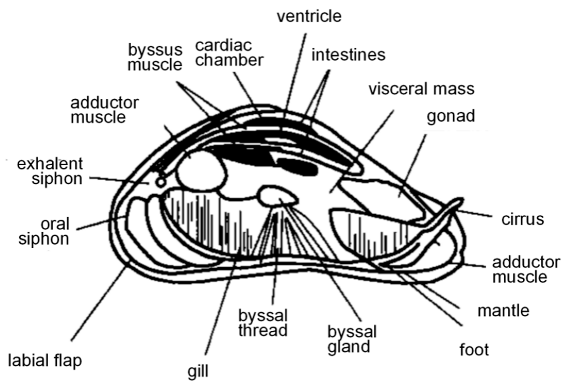 Polymers 16 03070 g001 Polymers 16 03070 g001