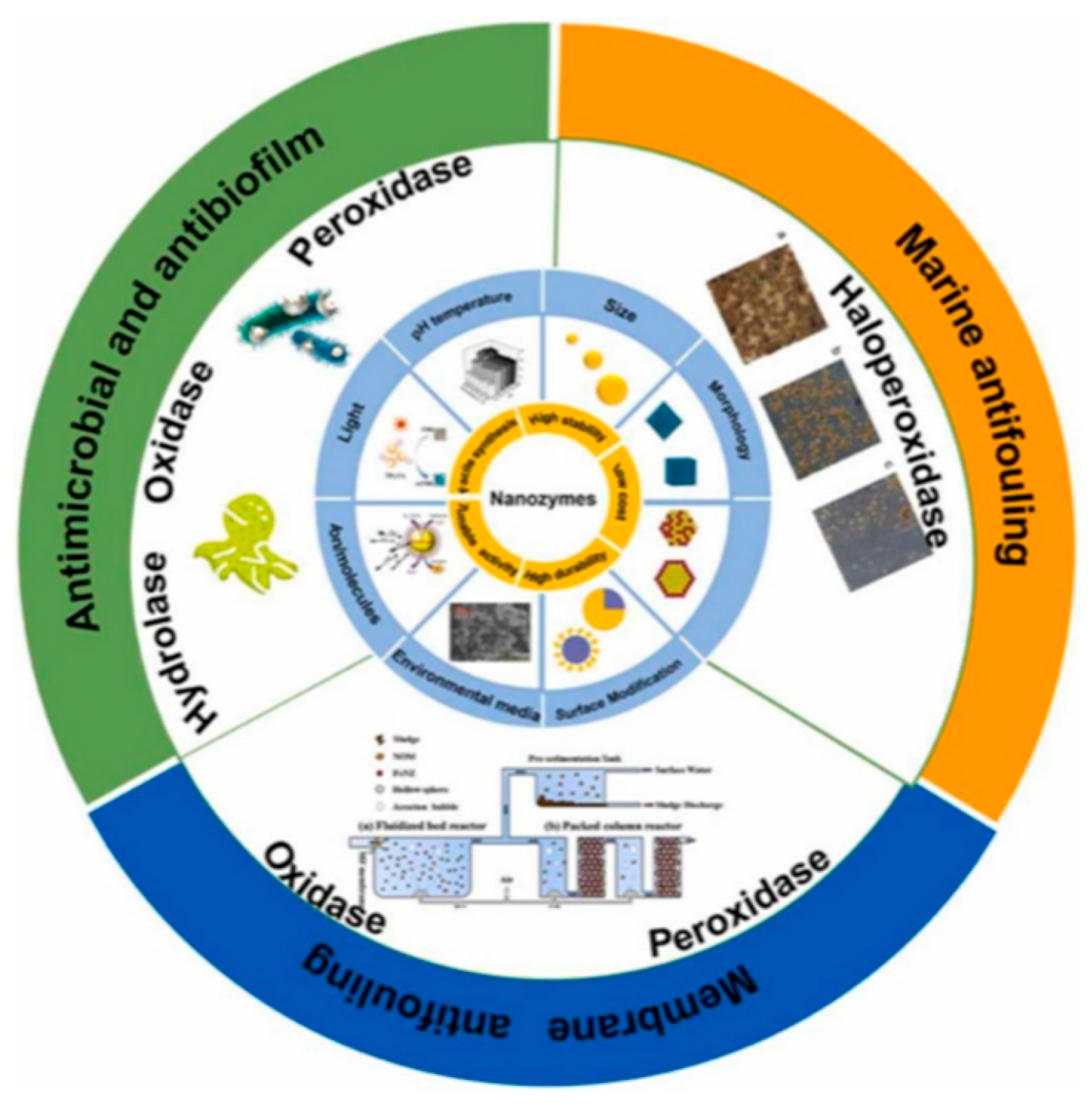 Polymers 16 03070 g005 Polymers 16 03070 g005