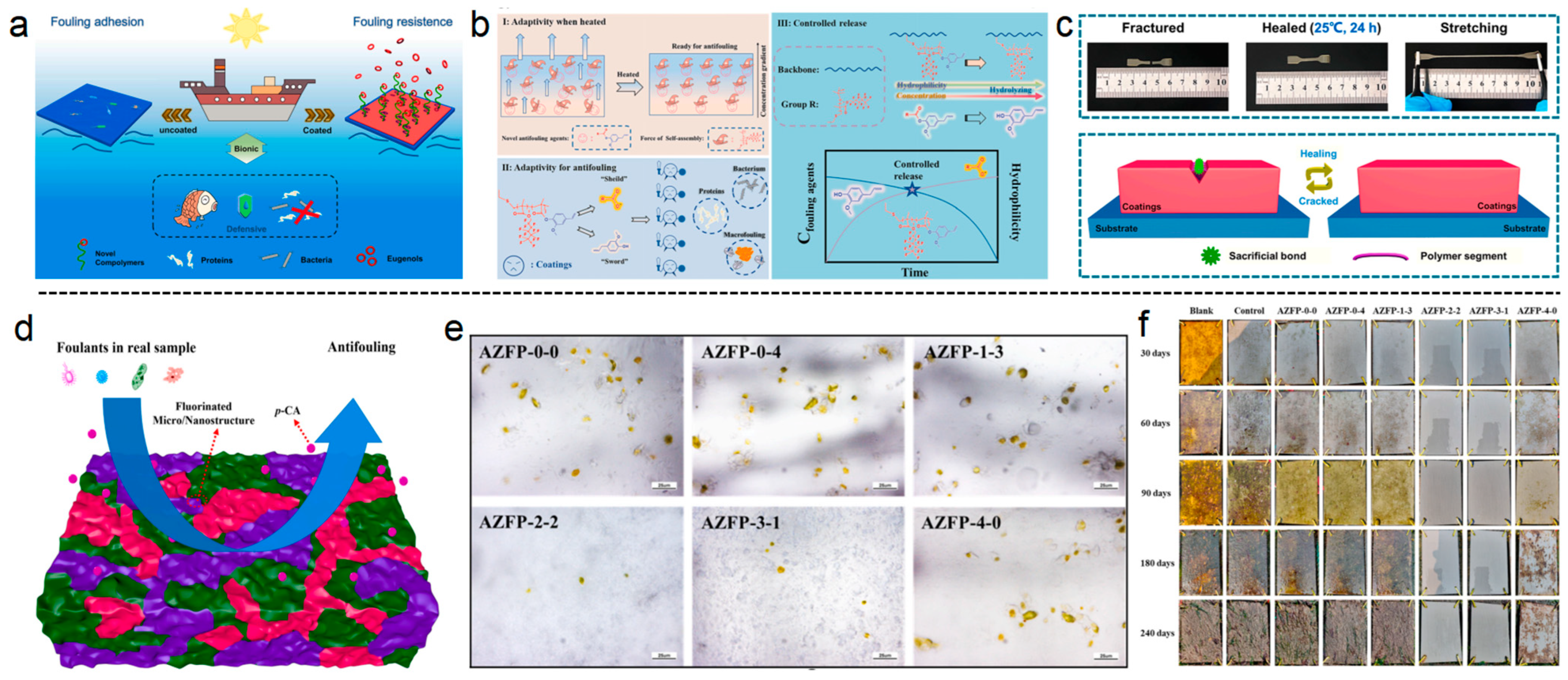 Polymers 16 03070 g007 Polymers 16 03070 g007