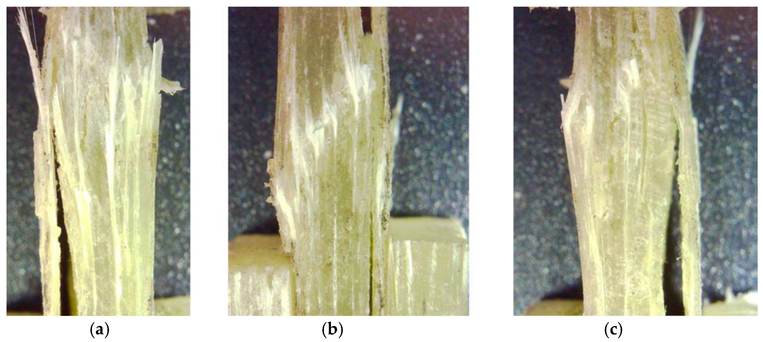 Polymers 16 03071 g007