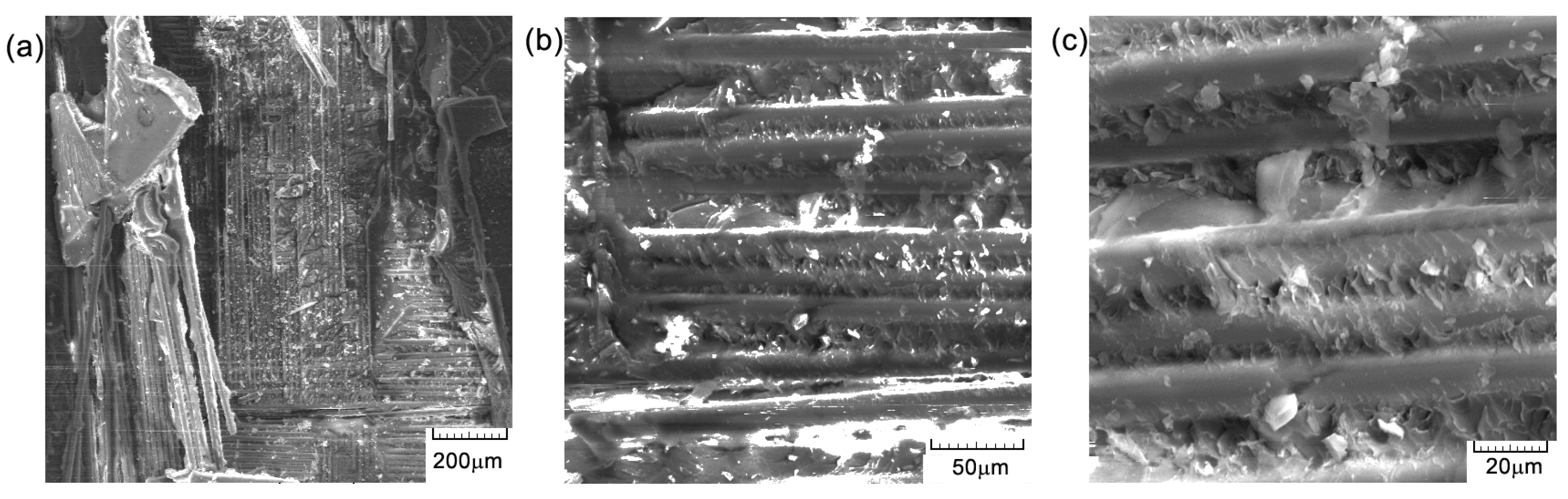 Polymers 16 03071 g012