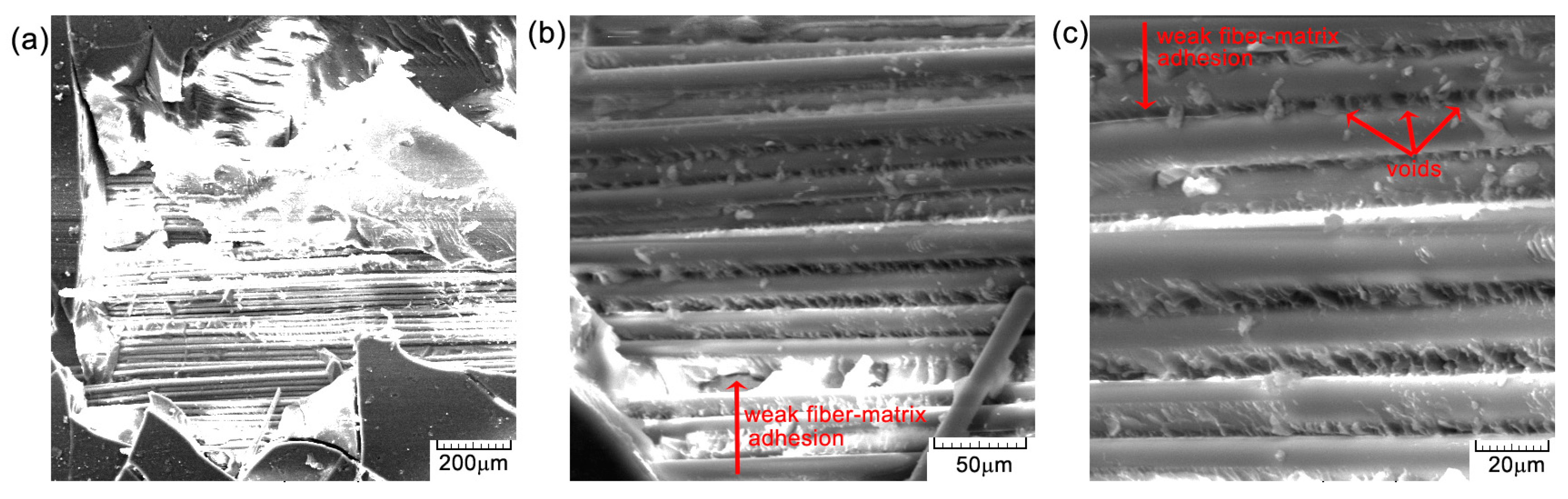 Polymers 16 03071 g013