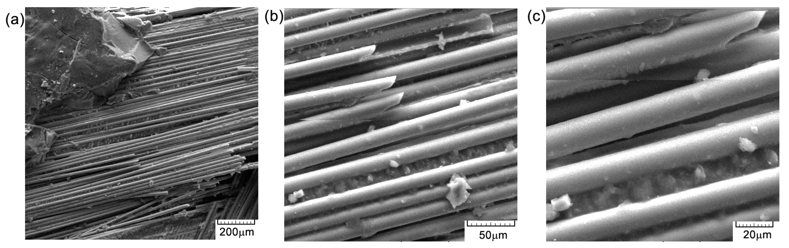 Polymers 16 03071 g014