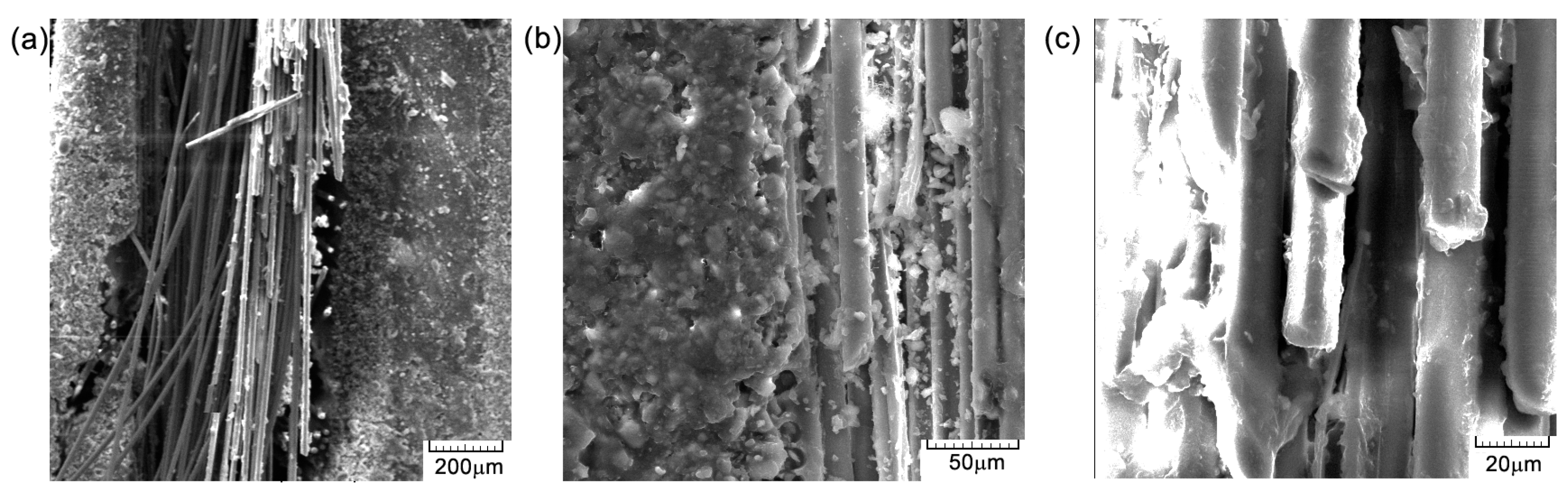 Polymers 16 03071 g015