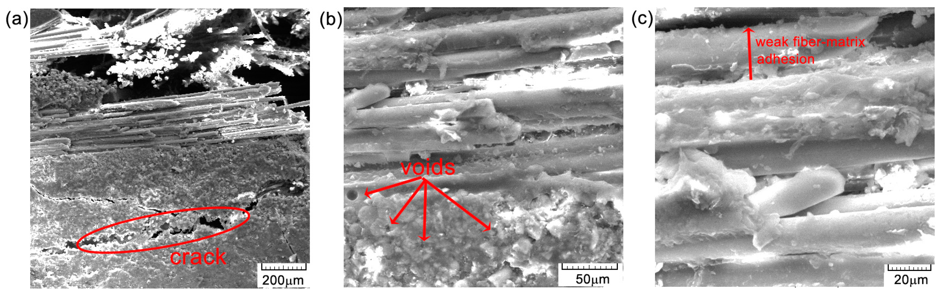 Polymers 16 03071 g017