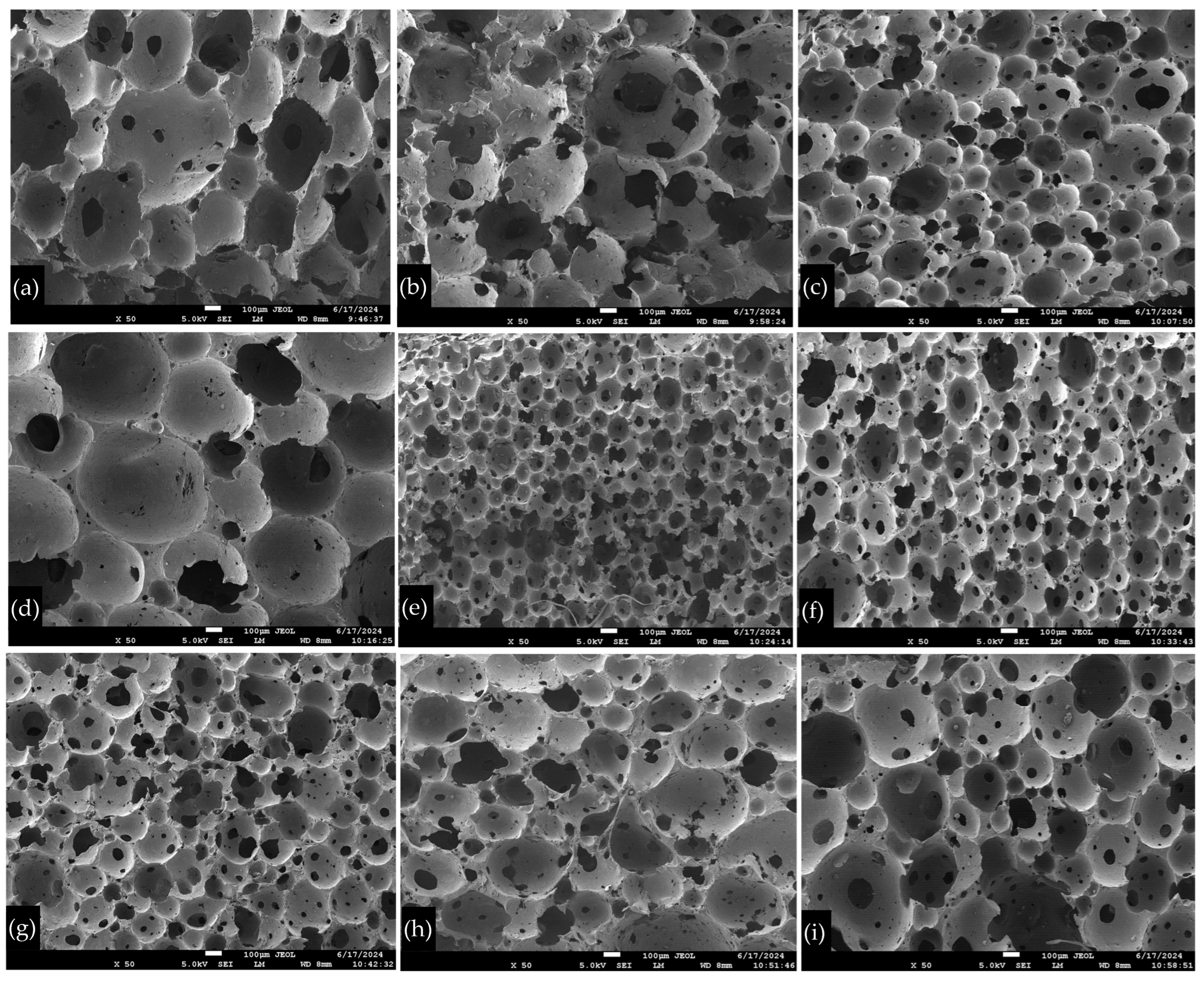 Polymers 16 03076 g003 Polymers 16 03076 g003
