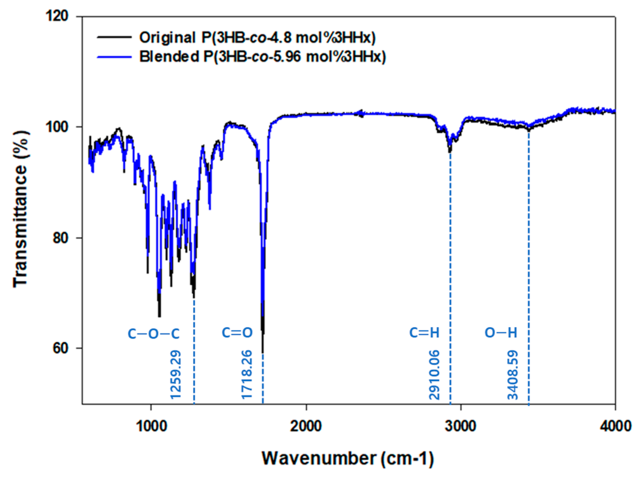 Polymers 16 03077 g002