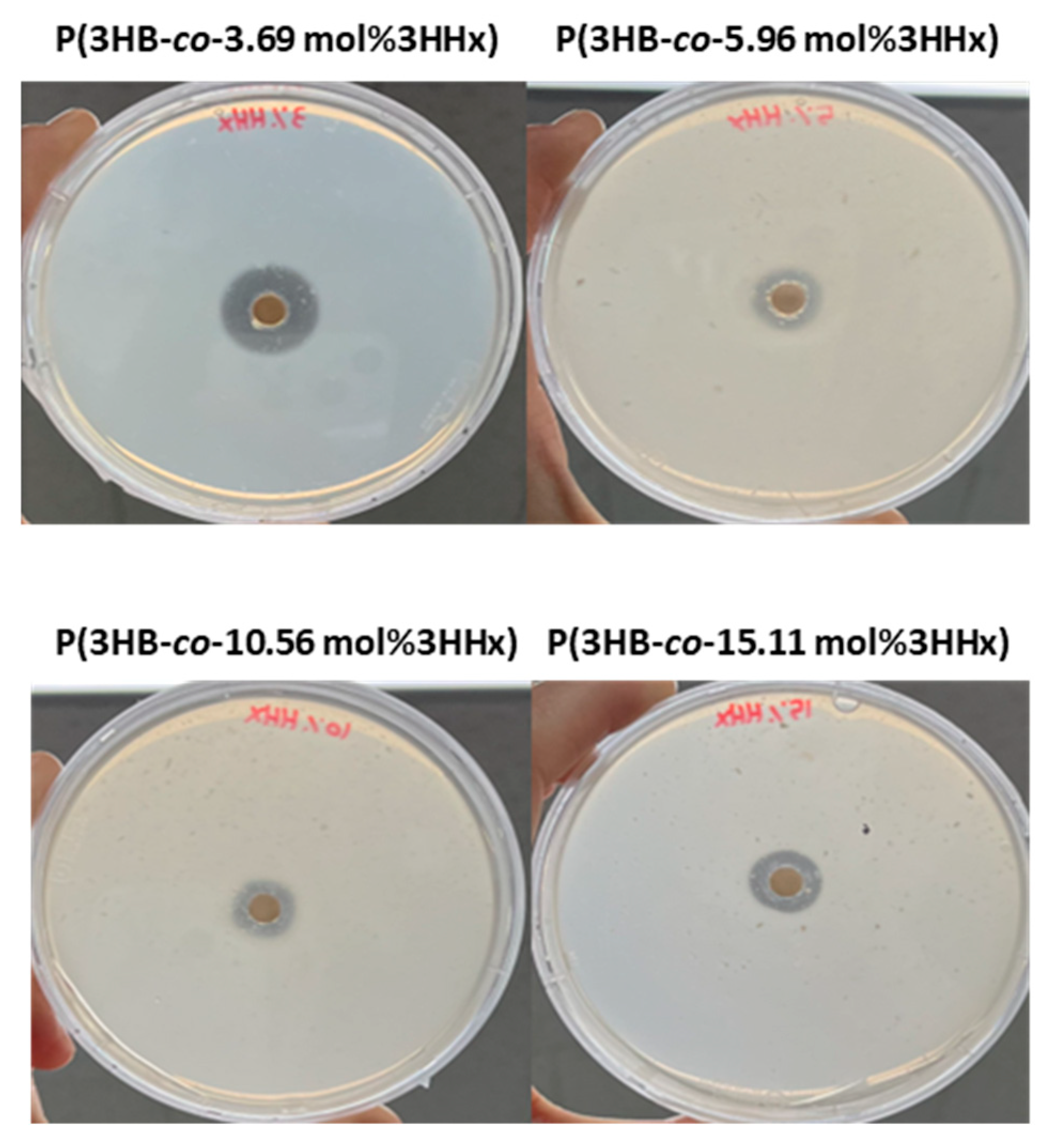 Polymers 16 03077 g004