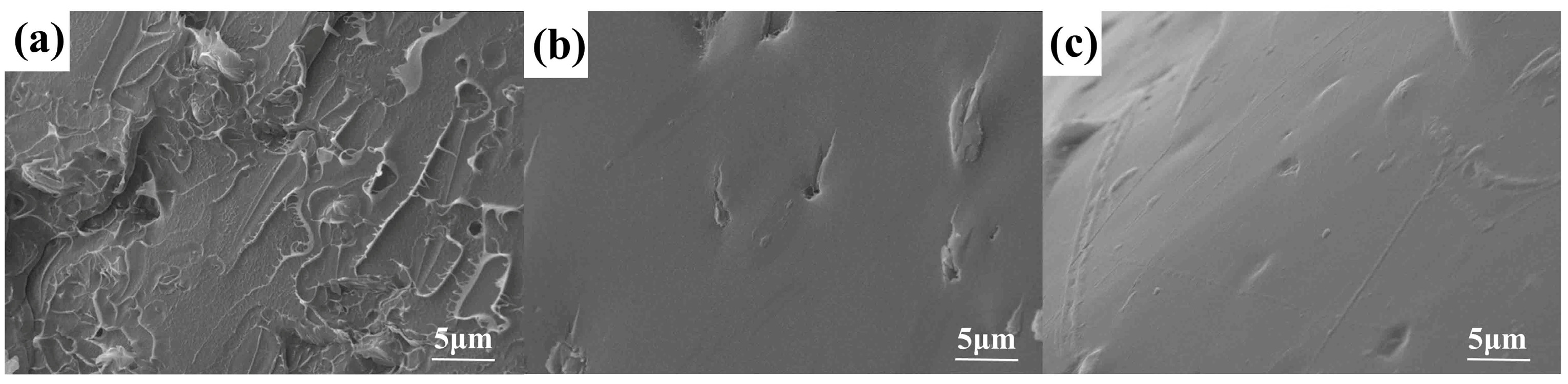 Polymers 16 03083 g004