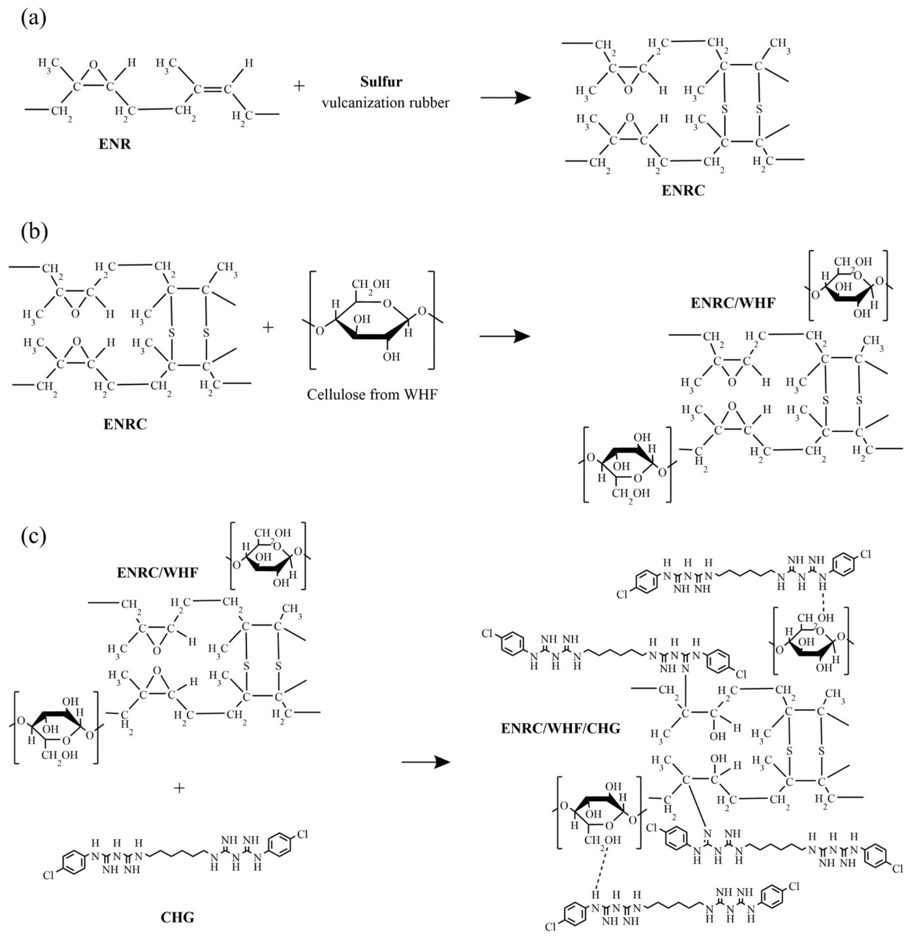 Polymers 16 03089 g002