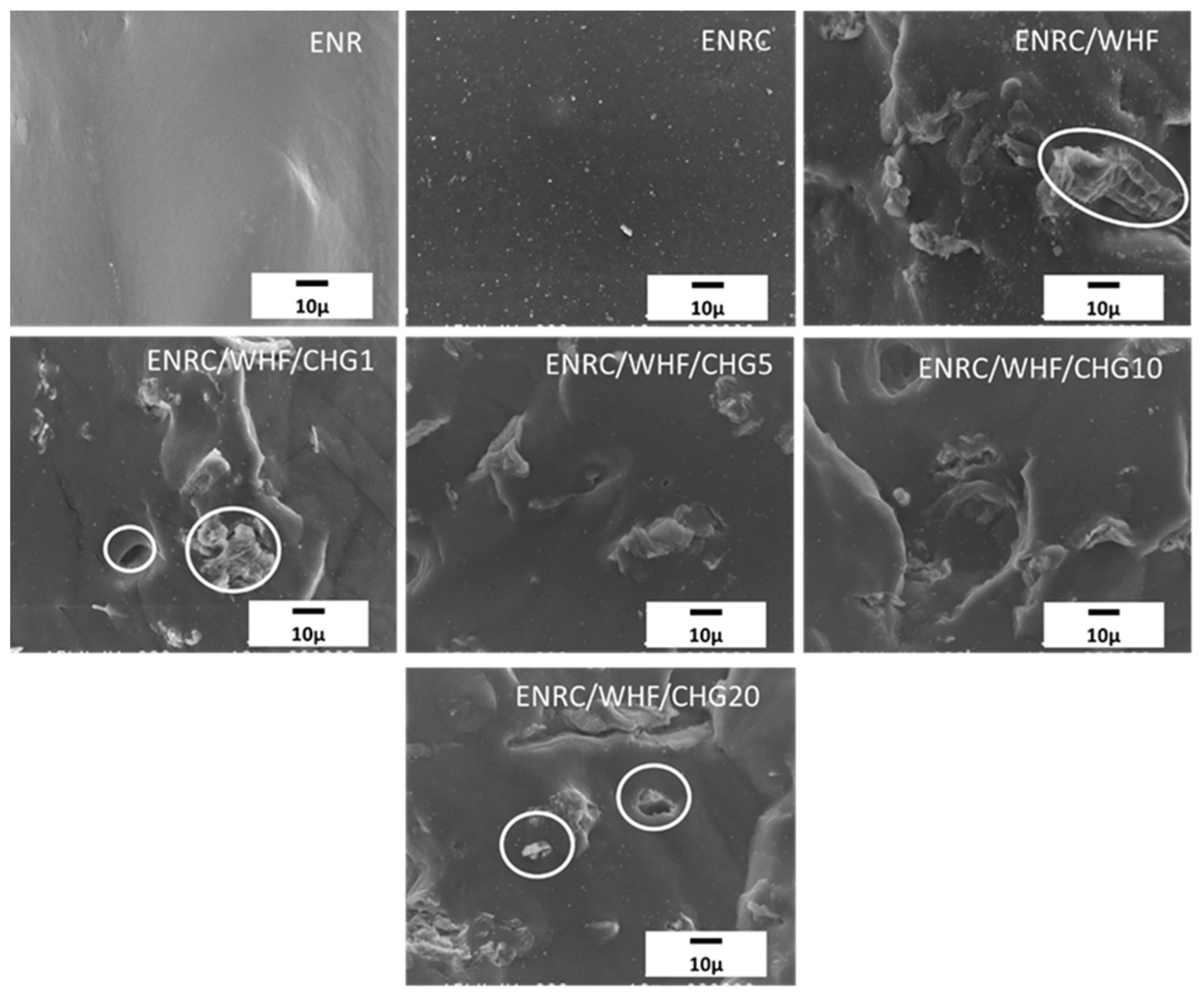Polymers 16 03089 g007