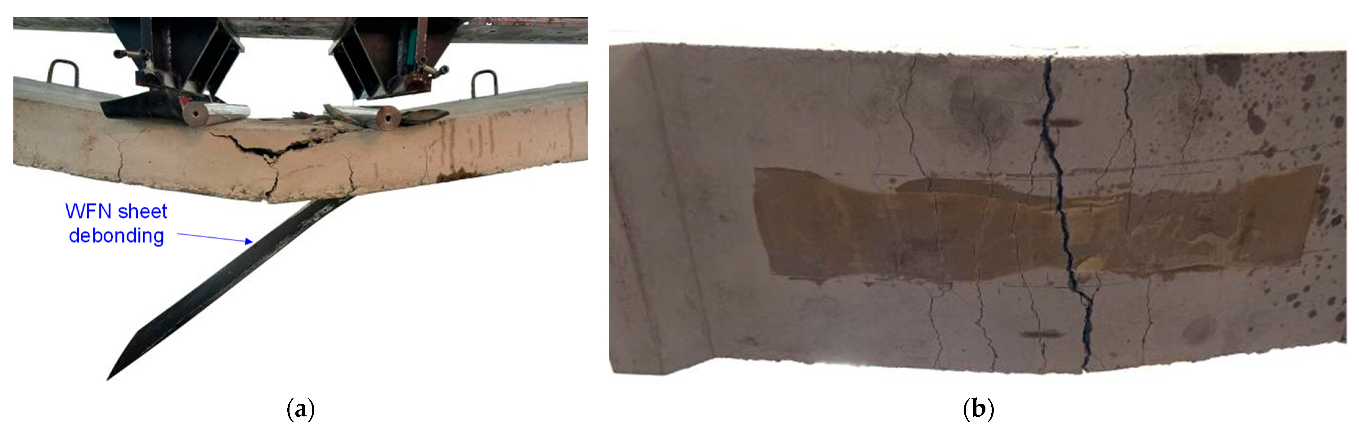 Polymers 16 03093 g013