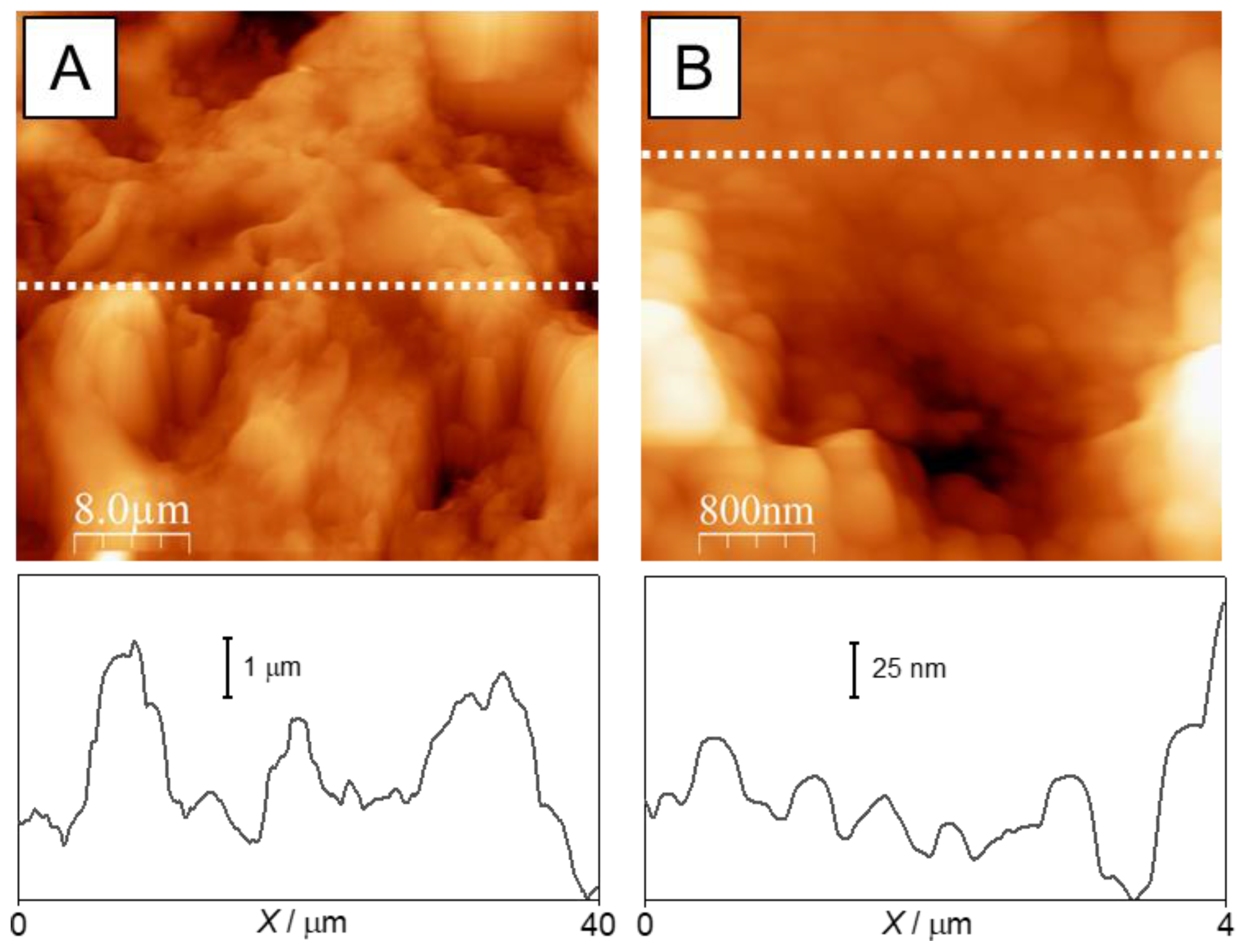Polymers 16 03094 g006