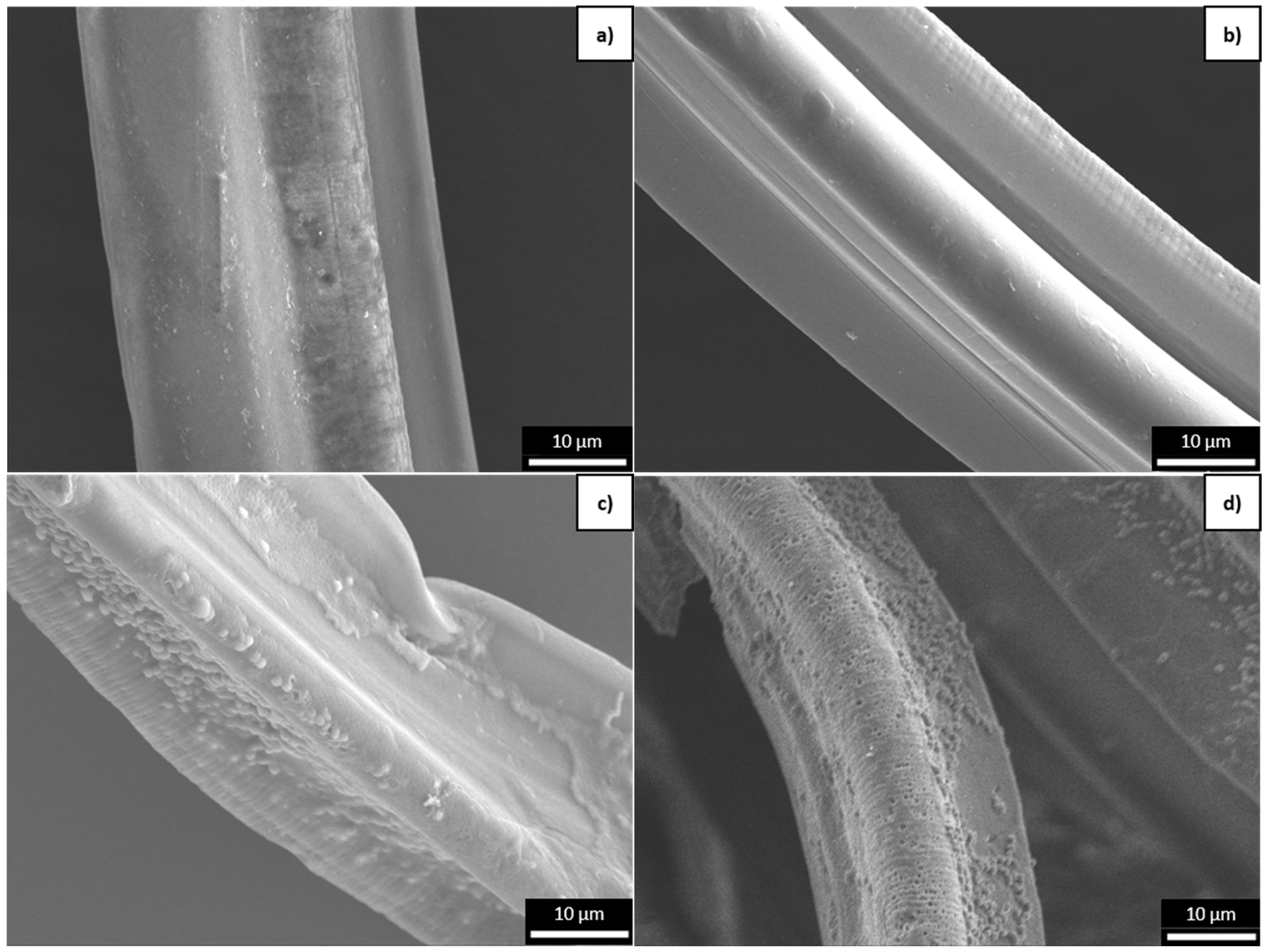Polymers 16 03096 g007 Polymers 16 03096 g007