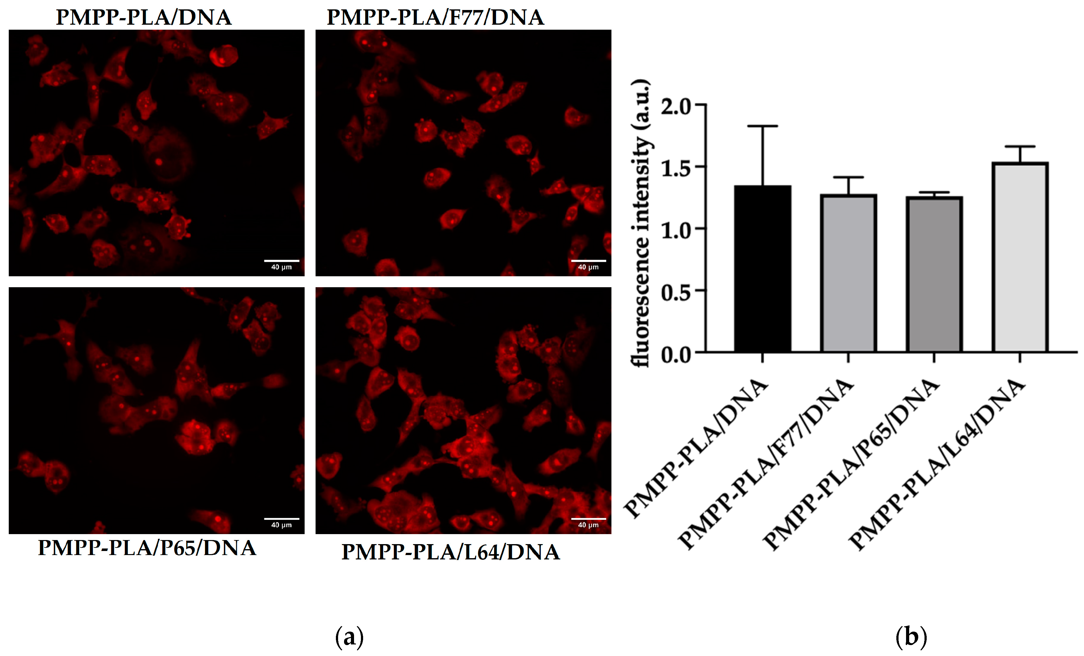 Polymers 16 03100 g009